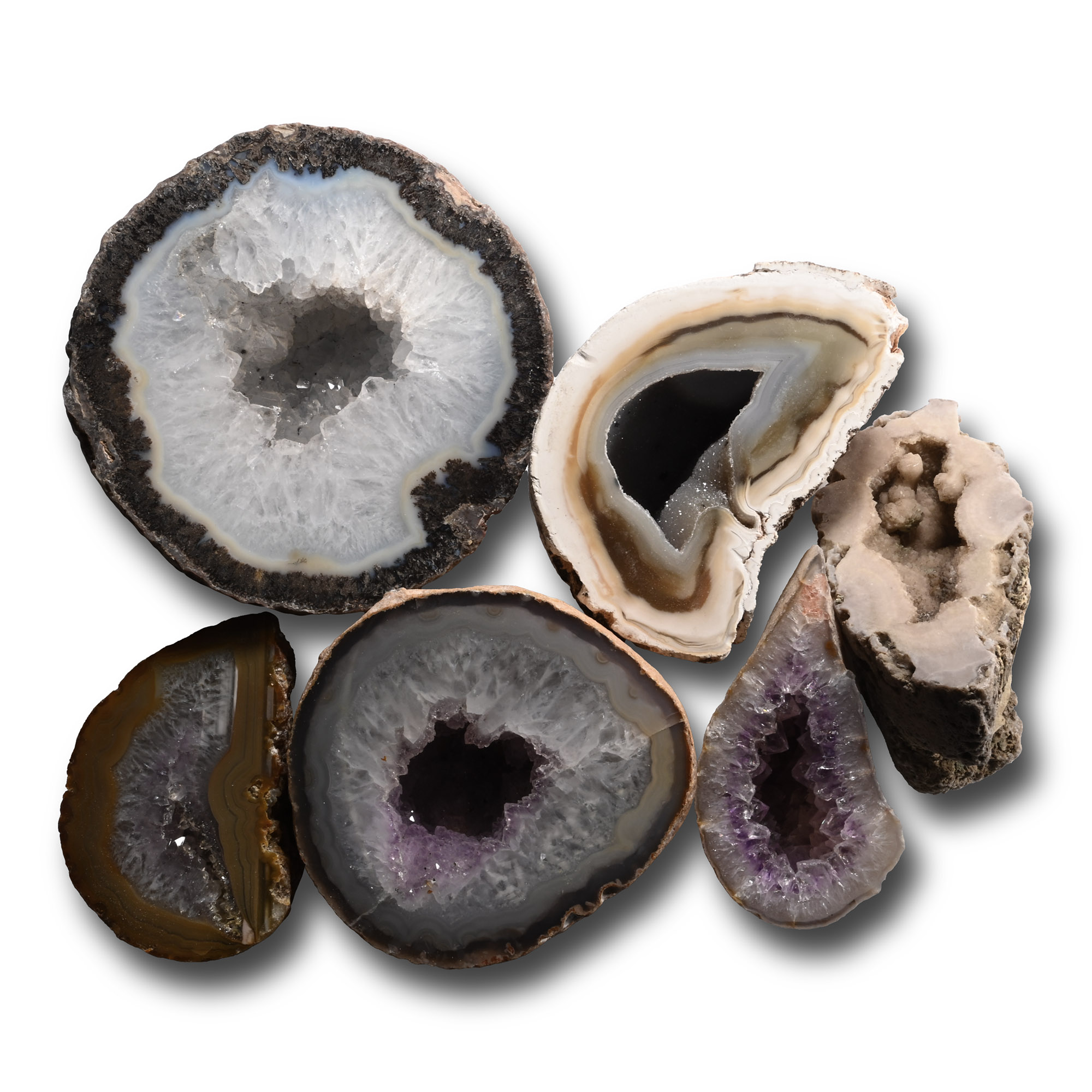 Cut and Polished Agate Crystal Geode Half Collection [6]