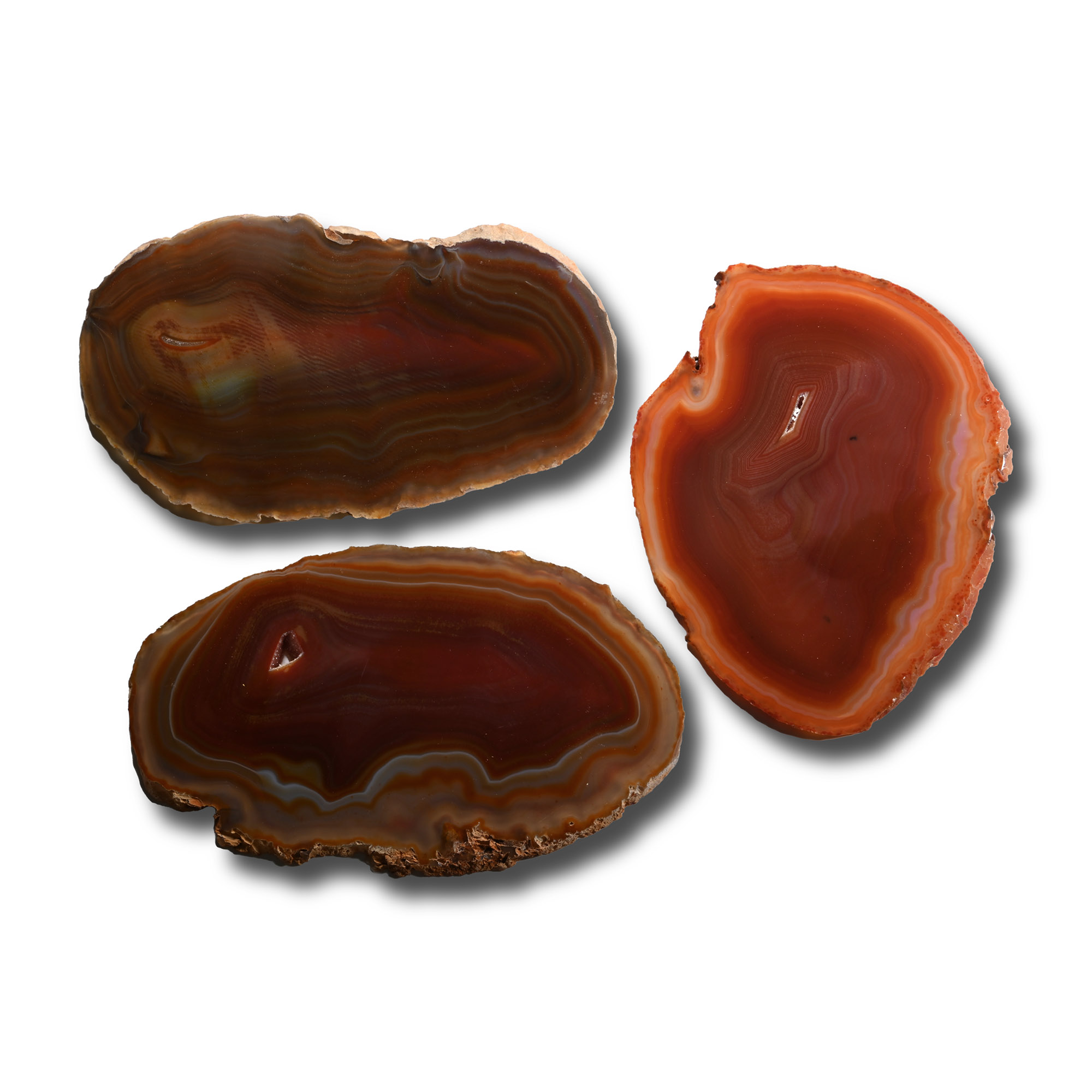 Large Cut and Polished Agate Slice Collection [3]