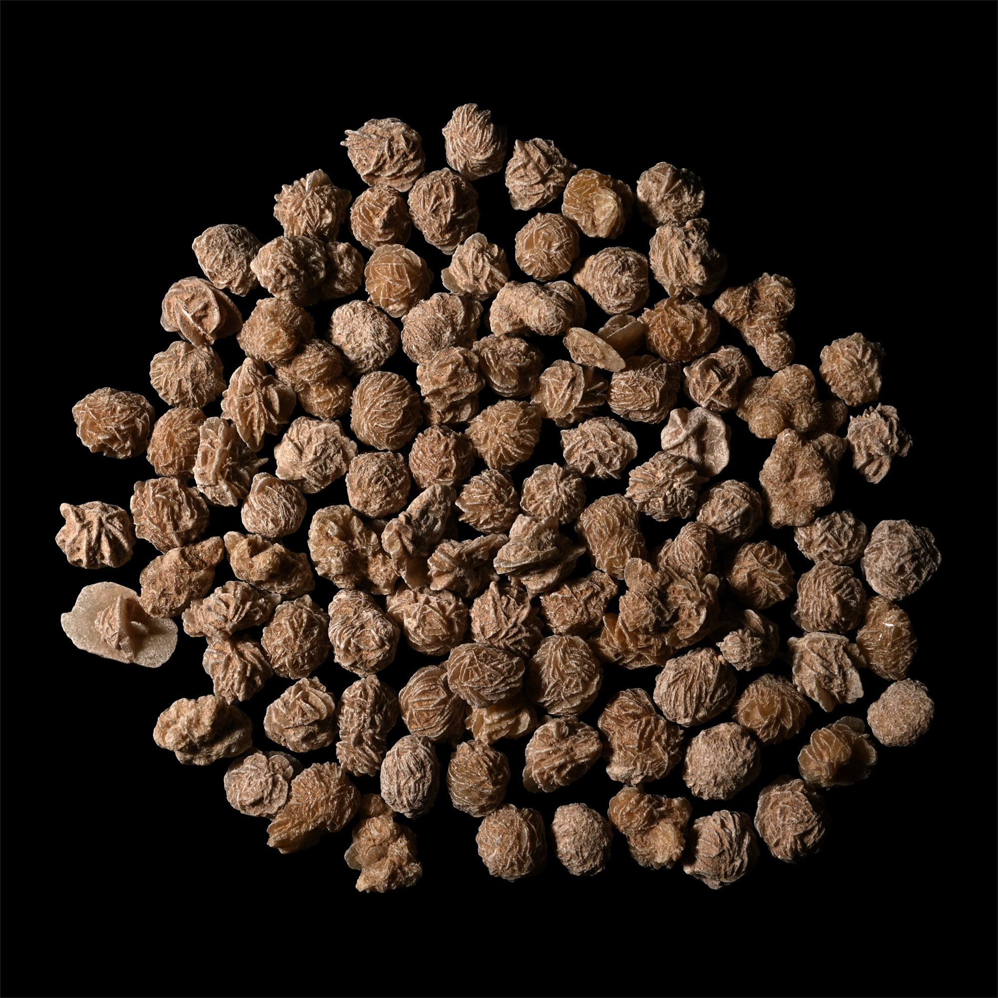 Desert Rose Gypsum Mineral Specimen Group [50]