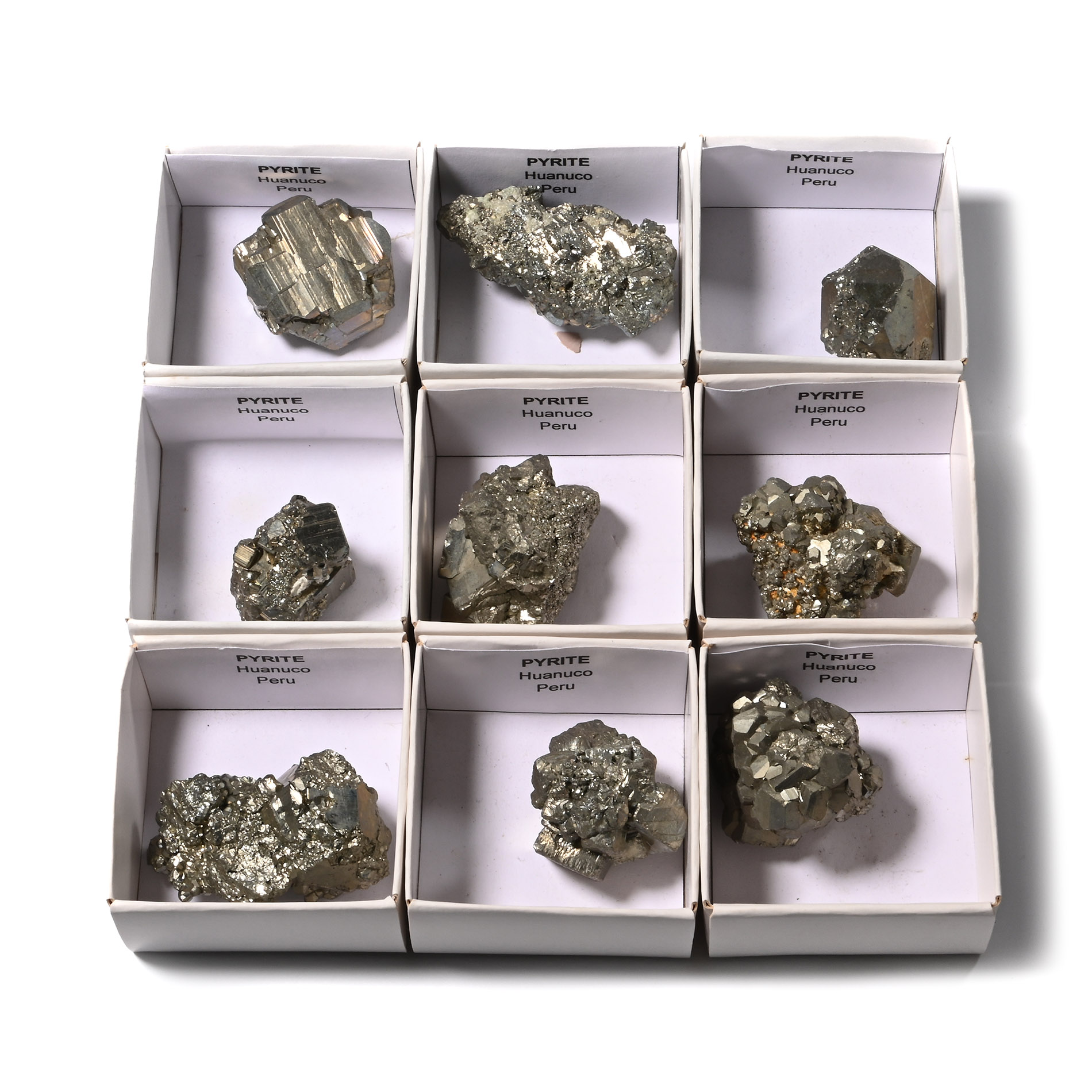Boxed Pyrite 'Fools Gold' Mineral Specimen Group [9]
