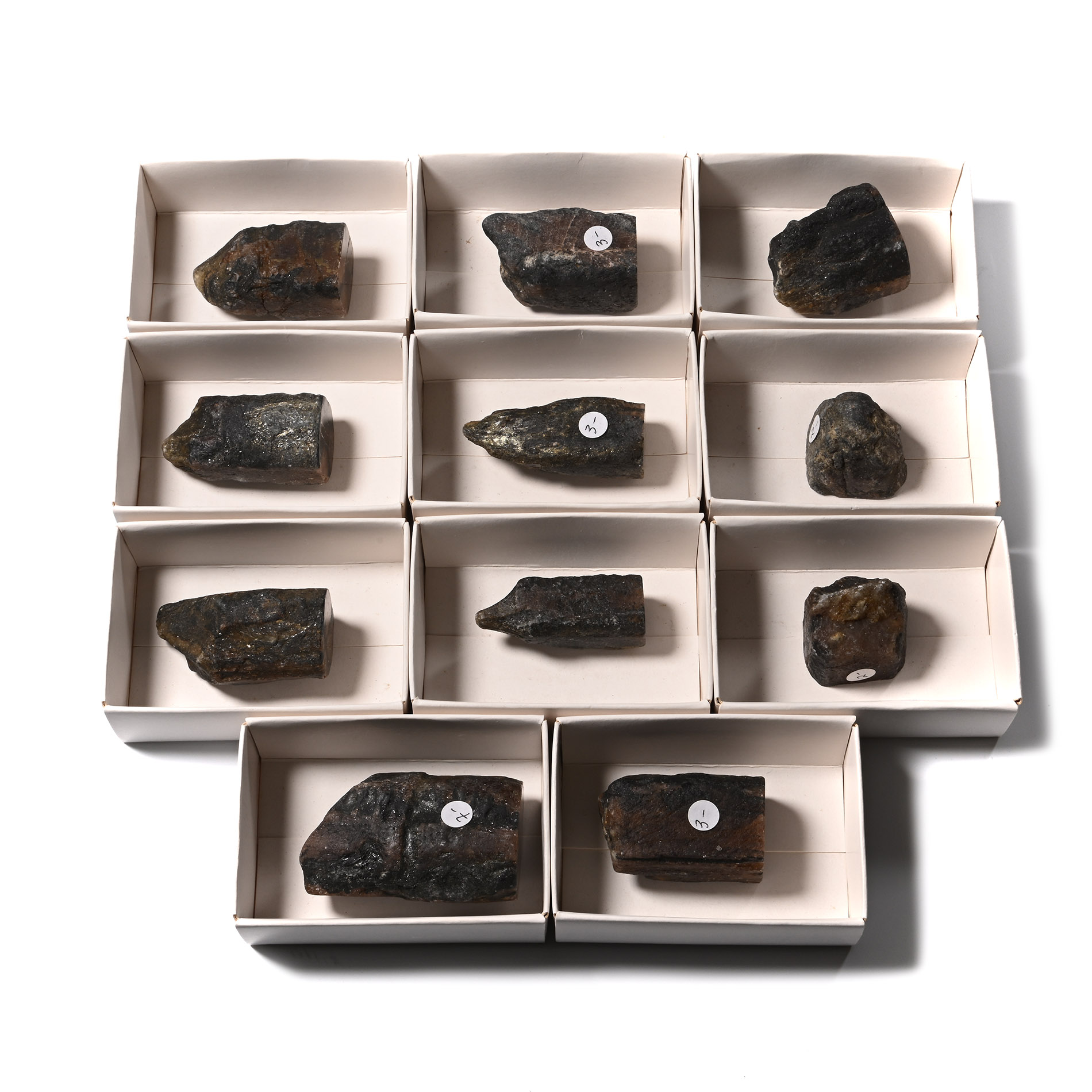 Cut and Polished Chiastolite Mineral Specimen Group [11]
