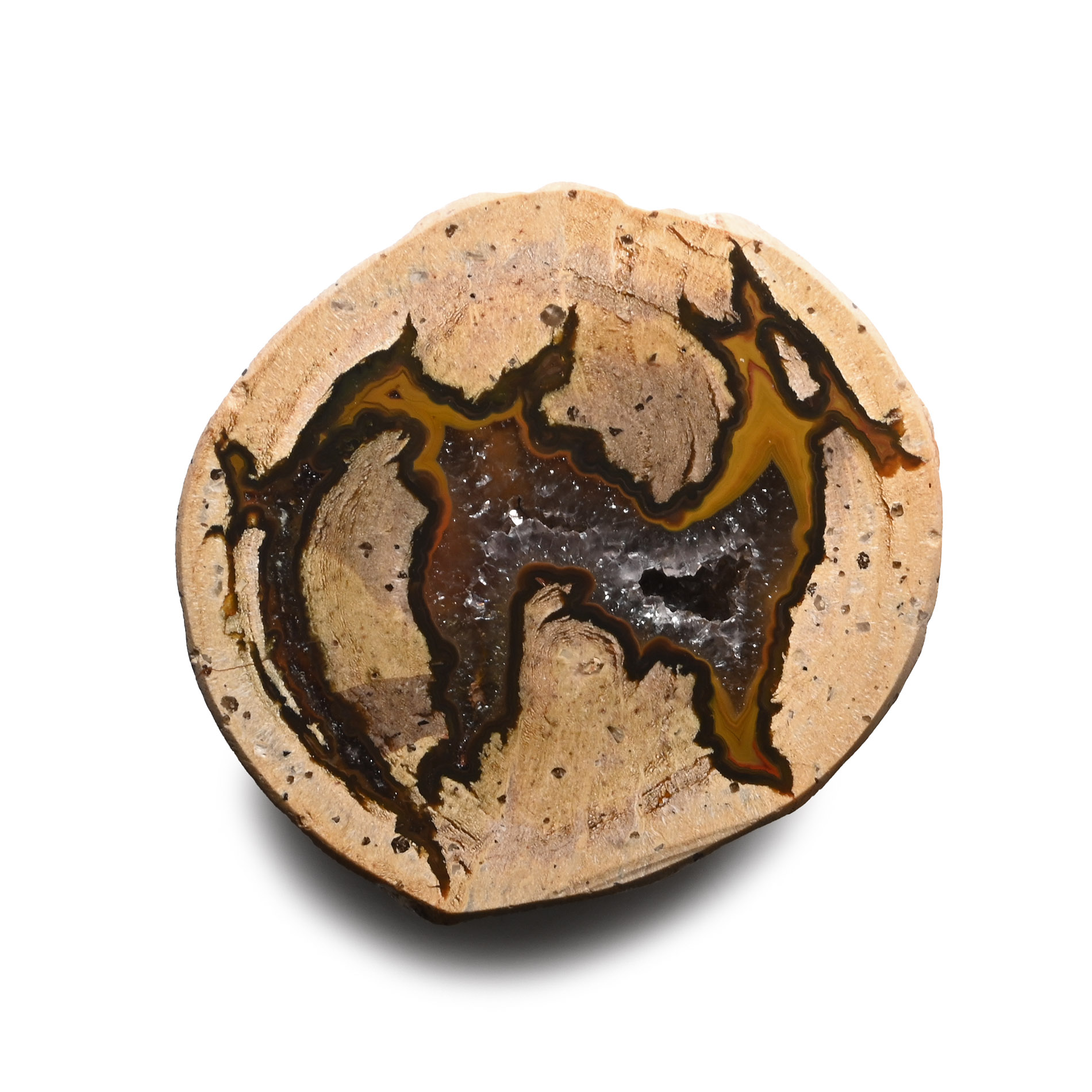 Natural Septarian Egg Geode Half with 'Howling Dog Facing Back'
