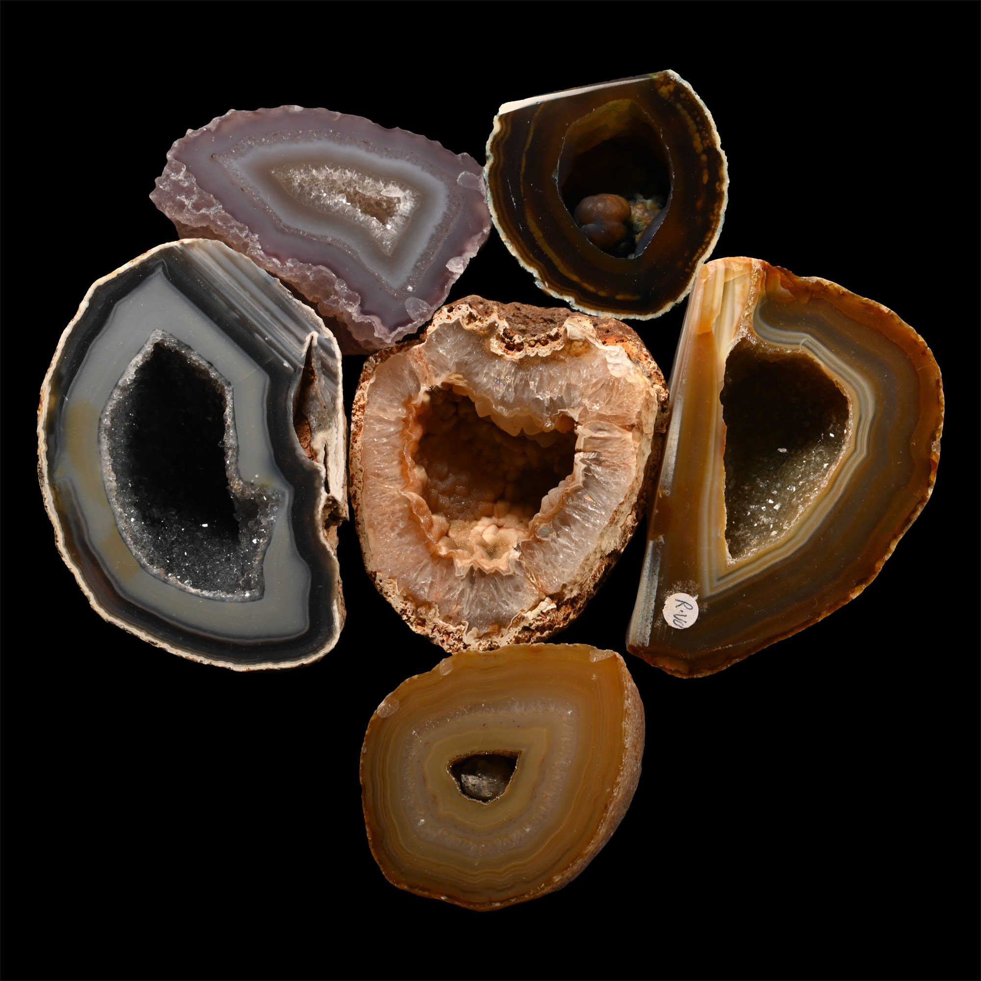 Cut and Polished Agate Crystal Geode Half Collection [6]
