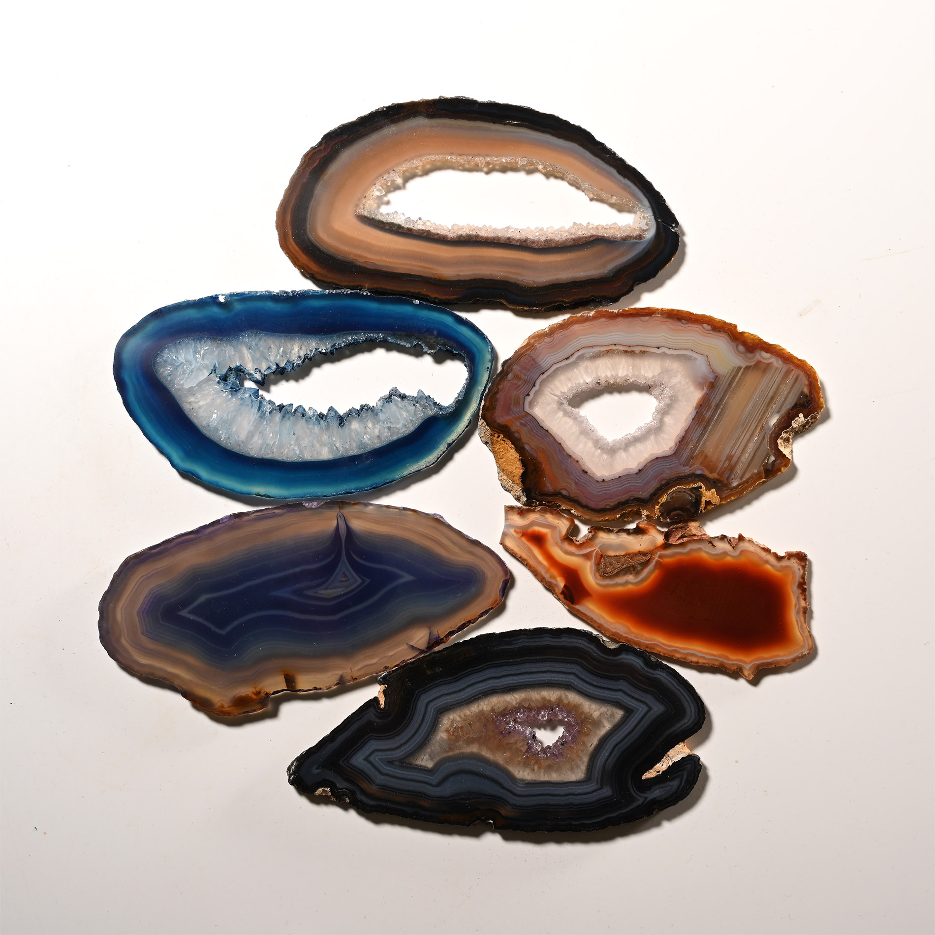 Cut and Polished Agate Slice Collection [6]