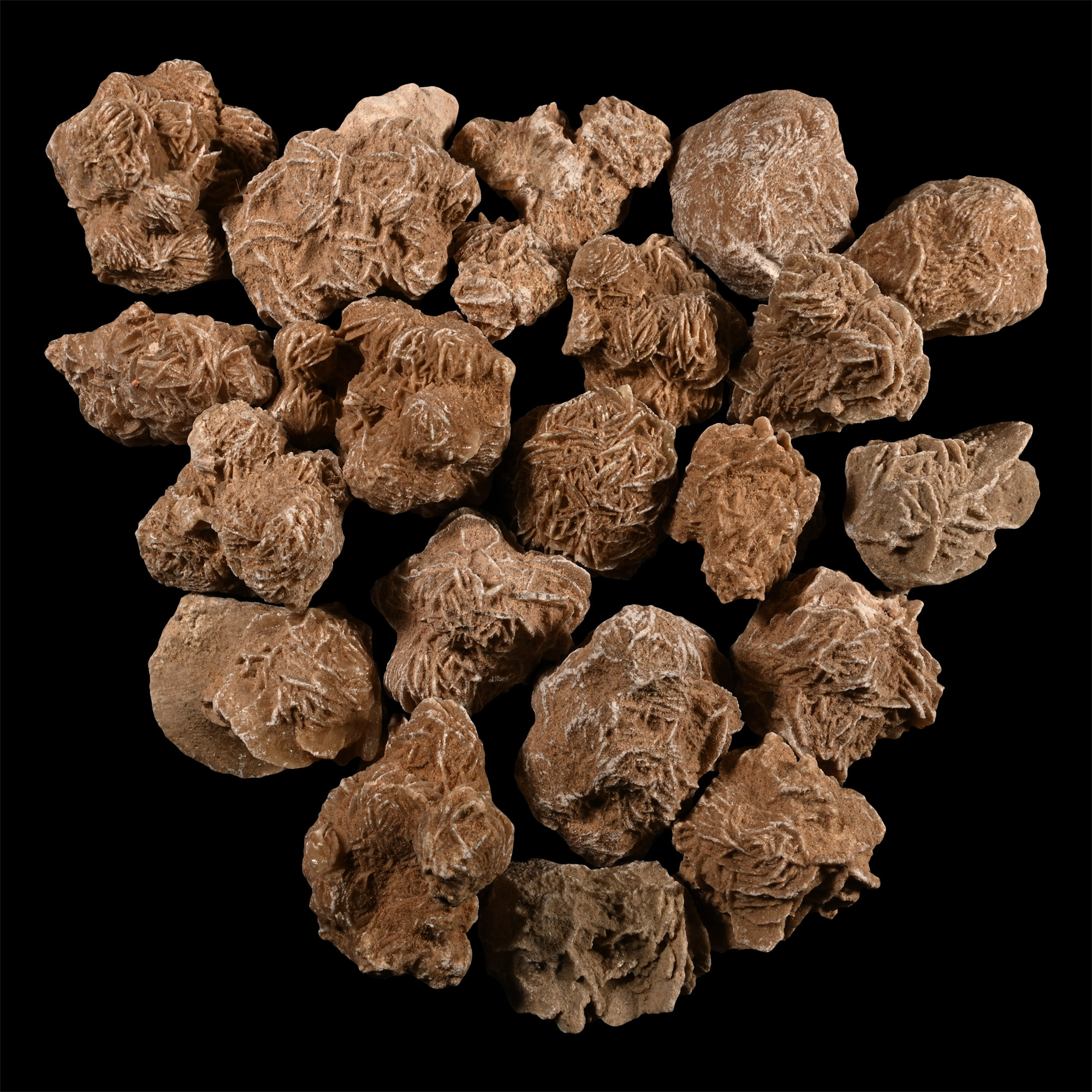 Large Desert Rose Gypsum Mineral Specimen Group [20]