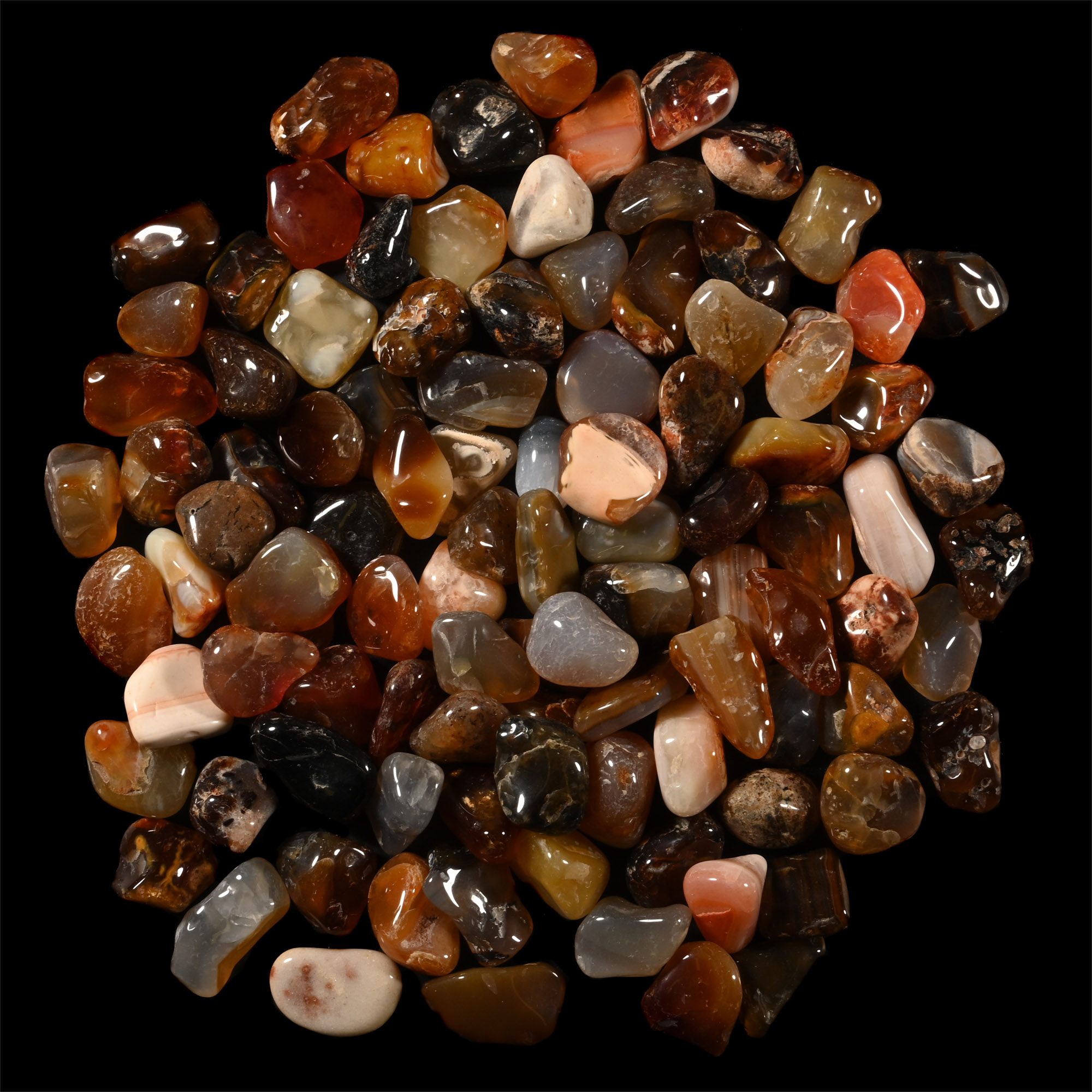 Polished Mixed Agate and Chalcedony Mineral Specimen Group [100]