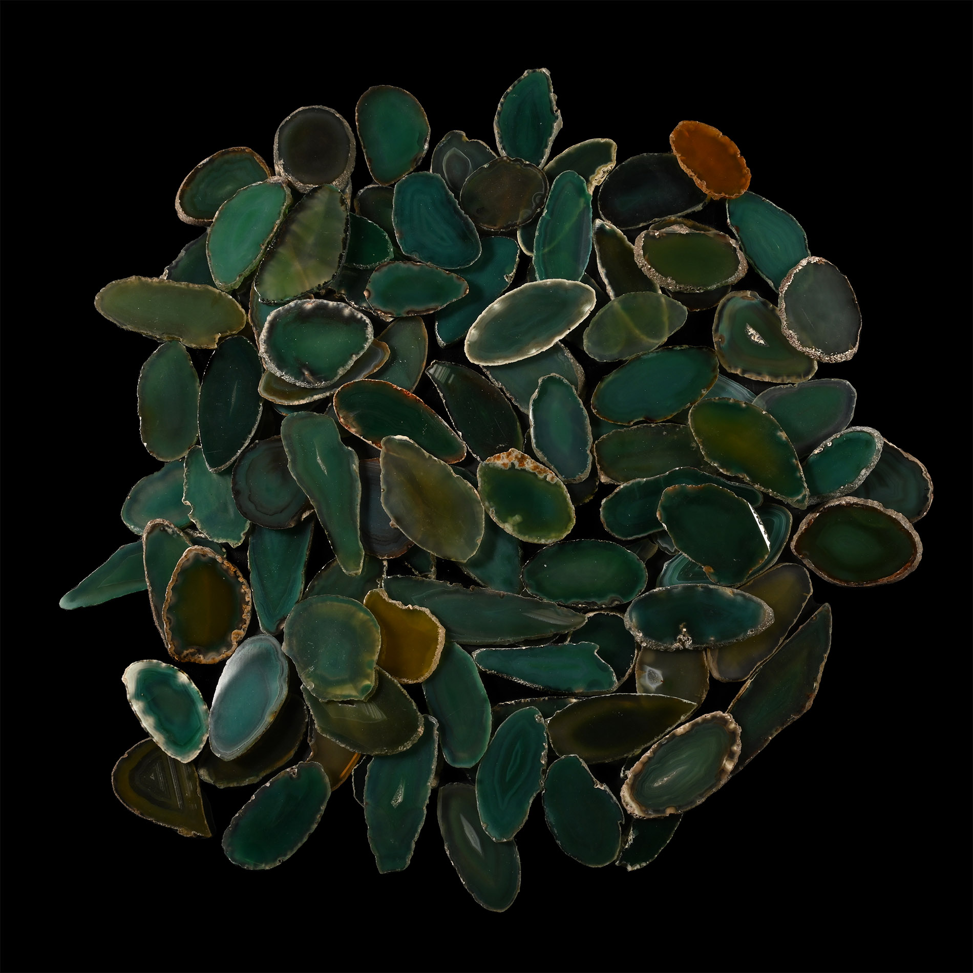 Cut and Polished Green Agate Slice Group [100]