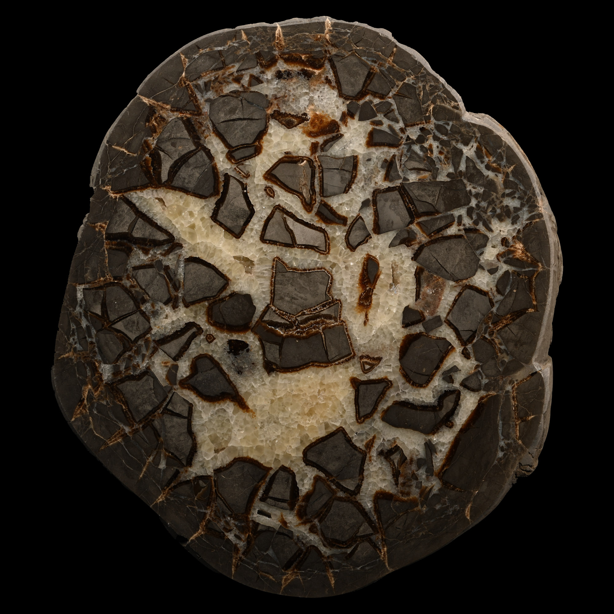 Very Large Cut and Polished Septarian 'Alien Egg' Crystal Geode Half