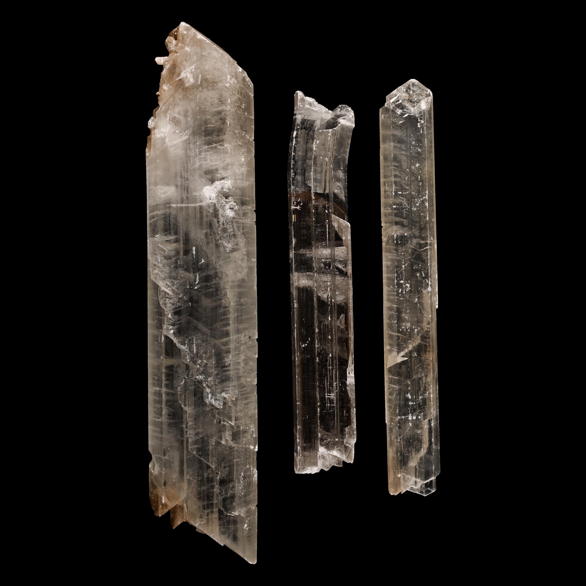 Massive Selenite Crystal Tower Display Group [3]