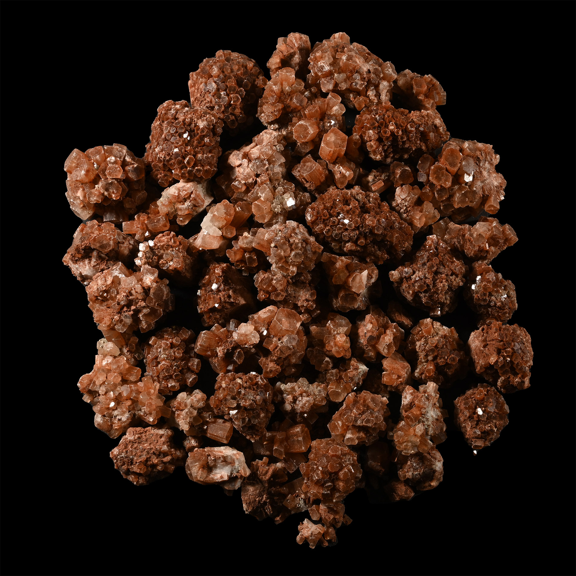 Aragonite Crystal Mineral Collection [50]