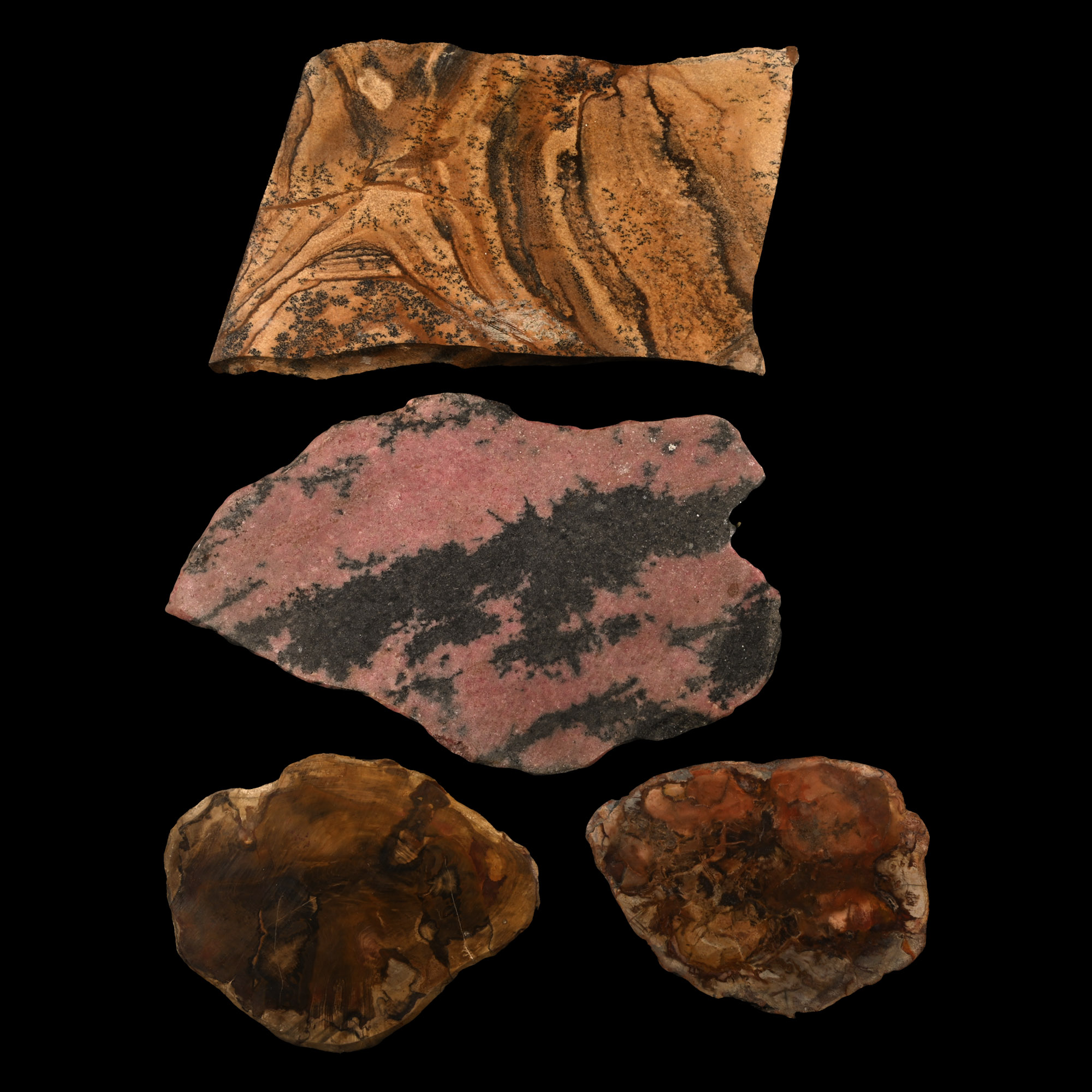 Large Cut and Polished Mineral and Fossil Wood Slab Group [4]