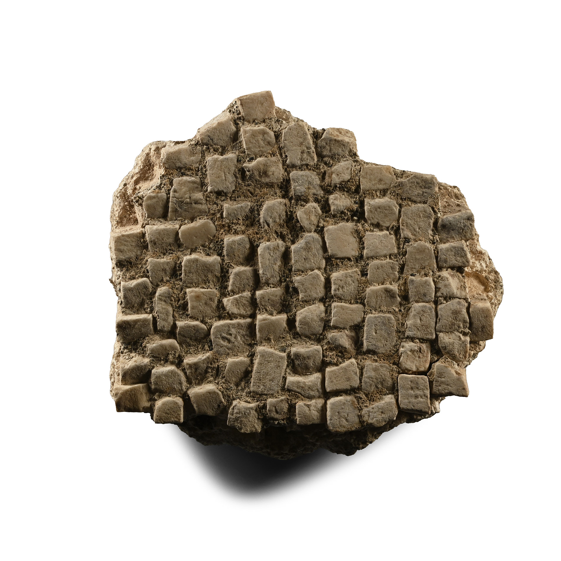 Roman 'Camulodunum' Stone Mosaic Floor Section