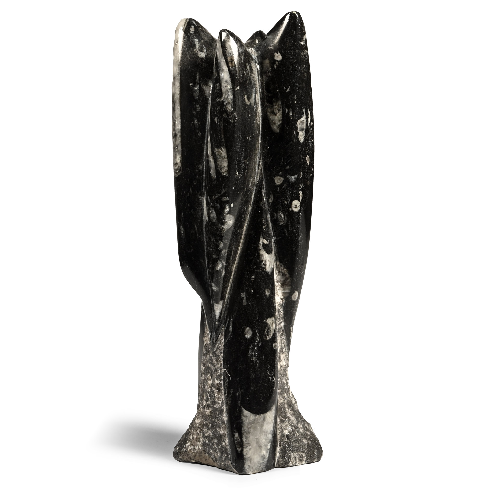 Polished Fossil Orthoceras Column