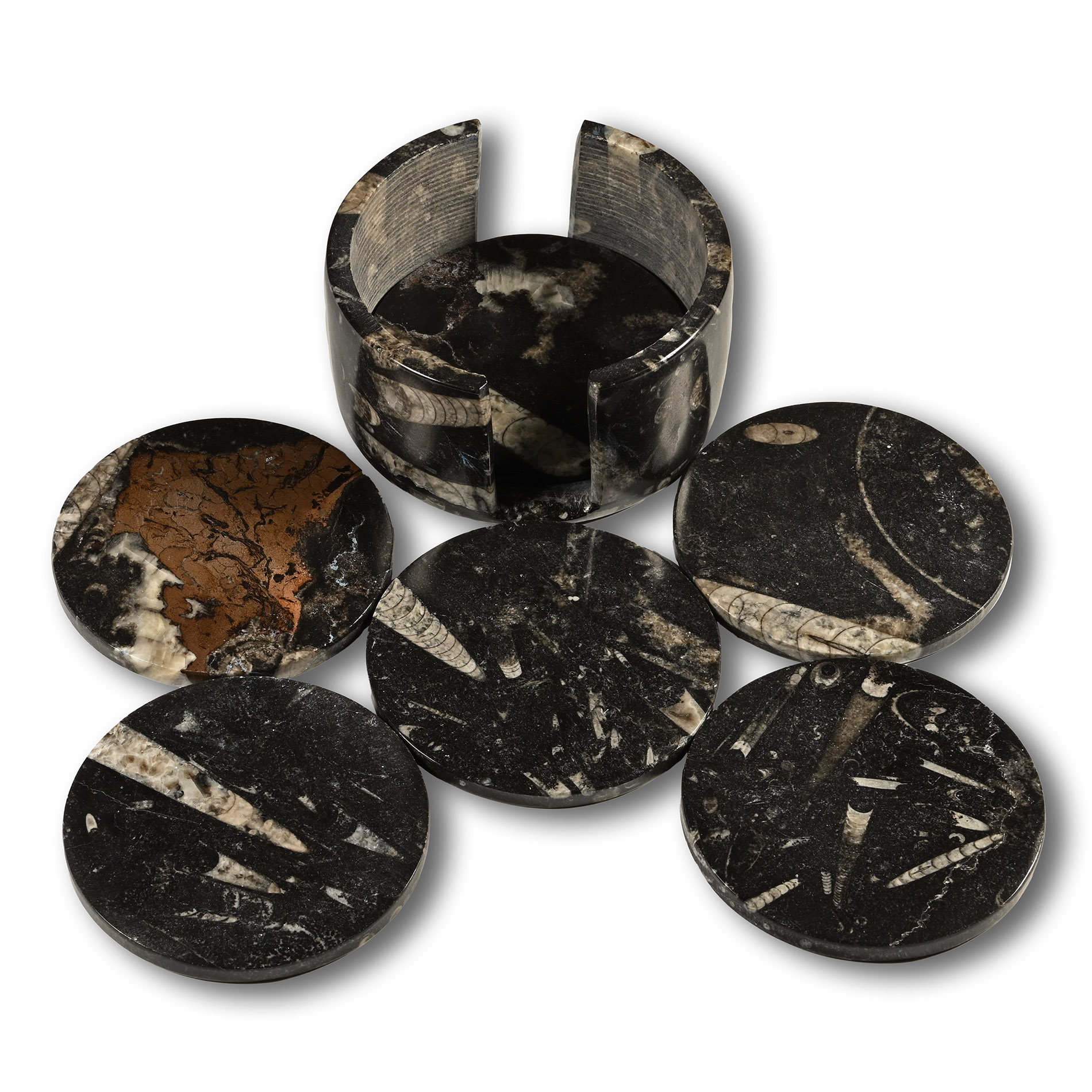 Polished Fossil Orthoceras Coaster Set