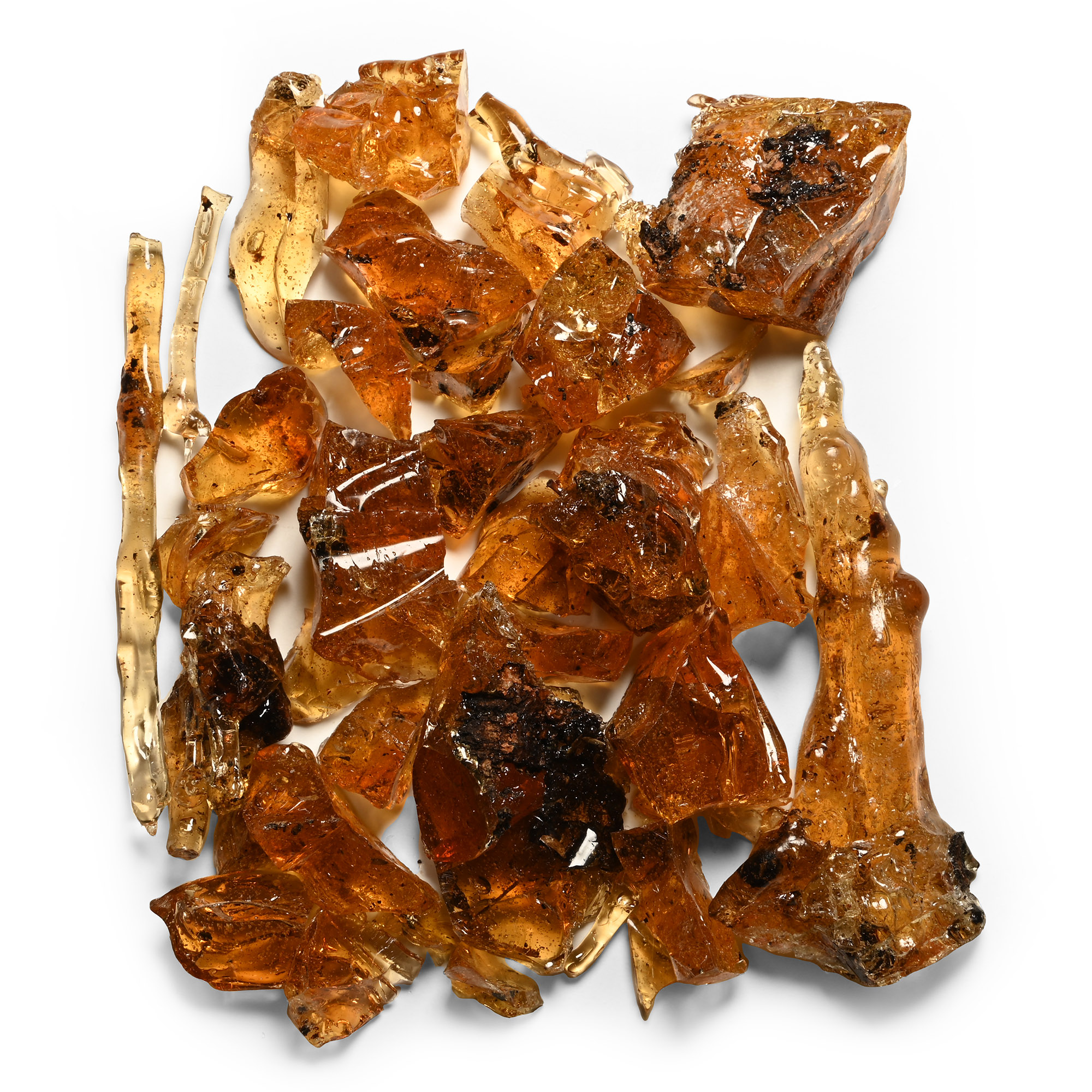 Copal Amber Group with Insect Inclusions