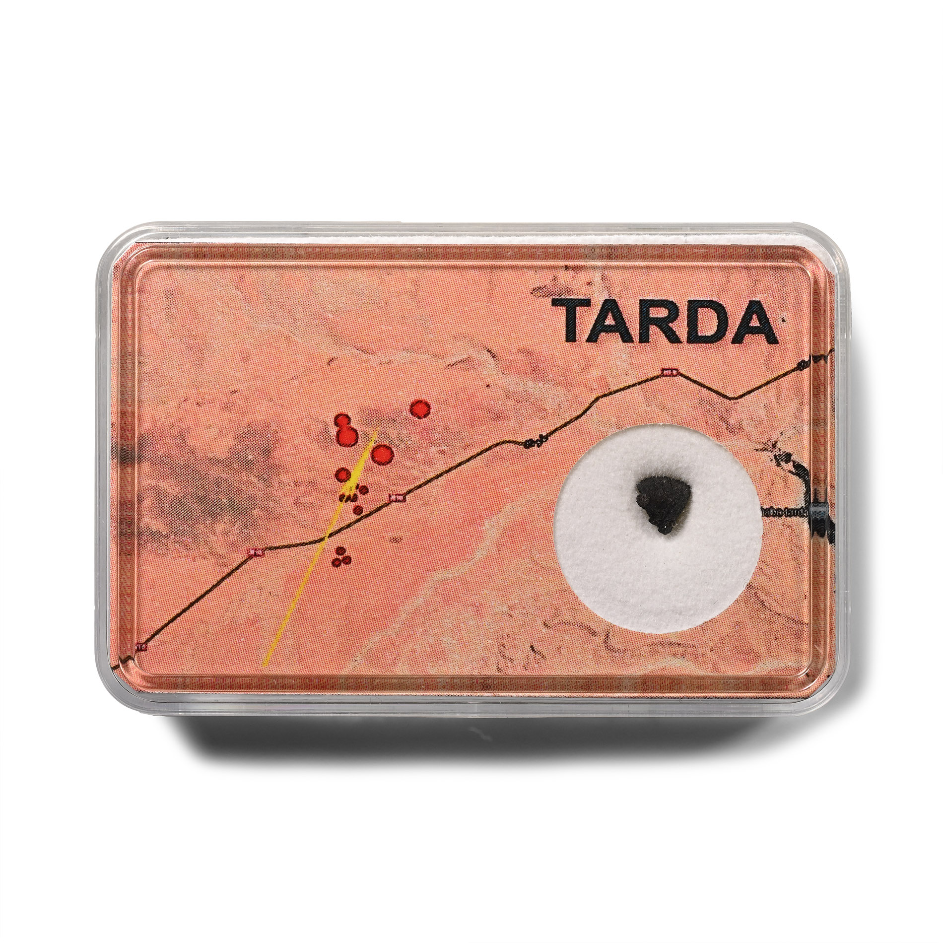 Tarda Carbonaceous Chondrite Meteorite
