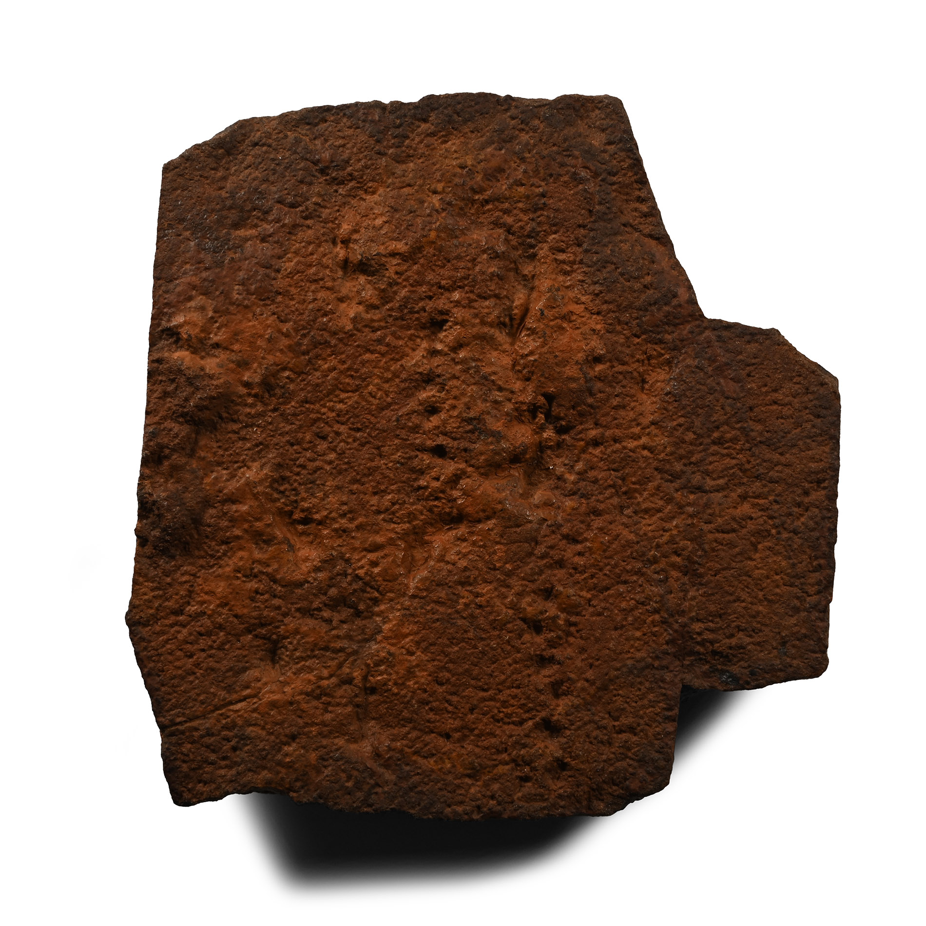 Mesoproterozoic 'String of Beads' Fossil