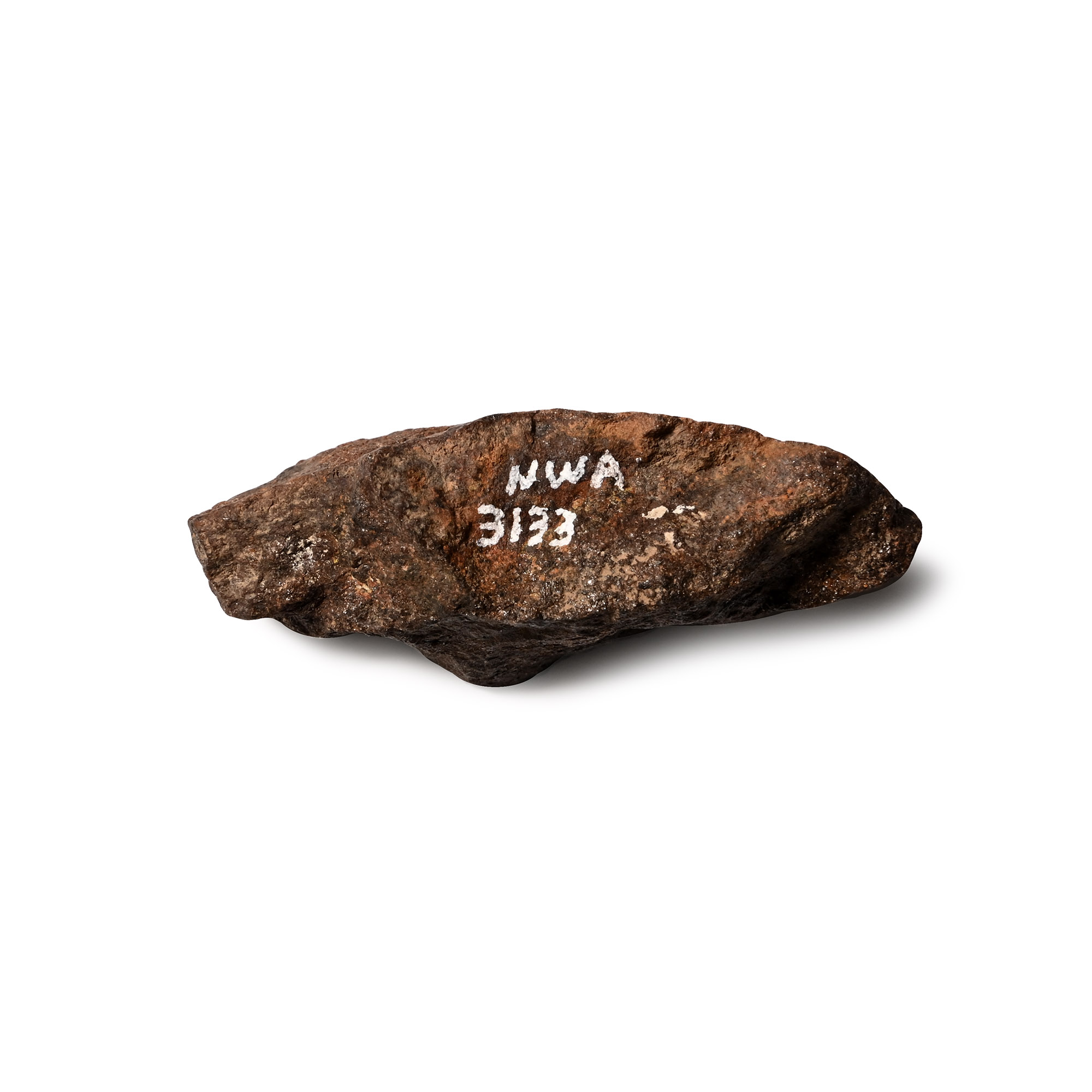 NWA 3133 Carbonaceous CV7 Chondrite Meteorite