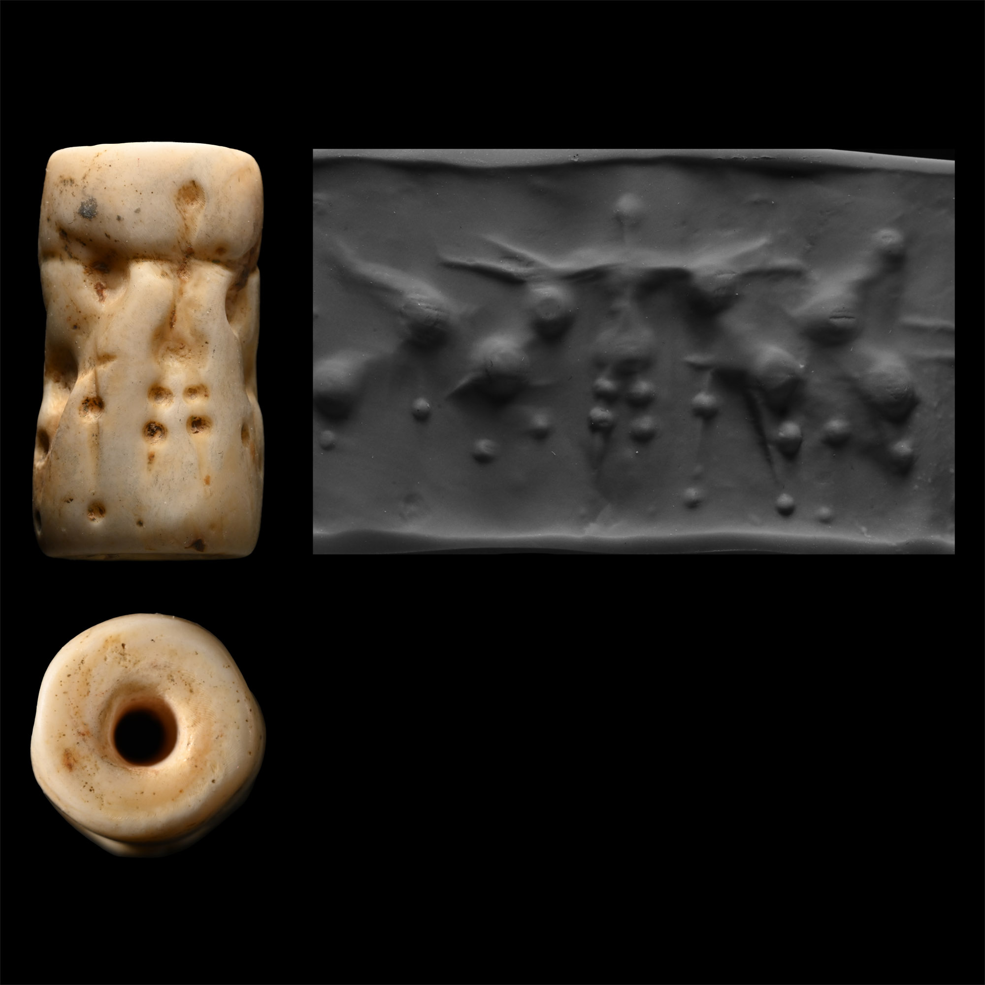 Early Akkadian Shell Cylinder Seal with Attacking Lions