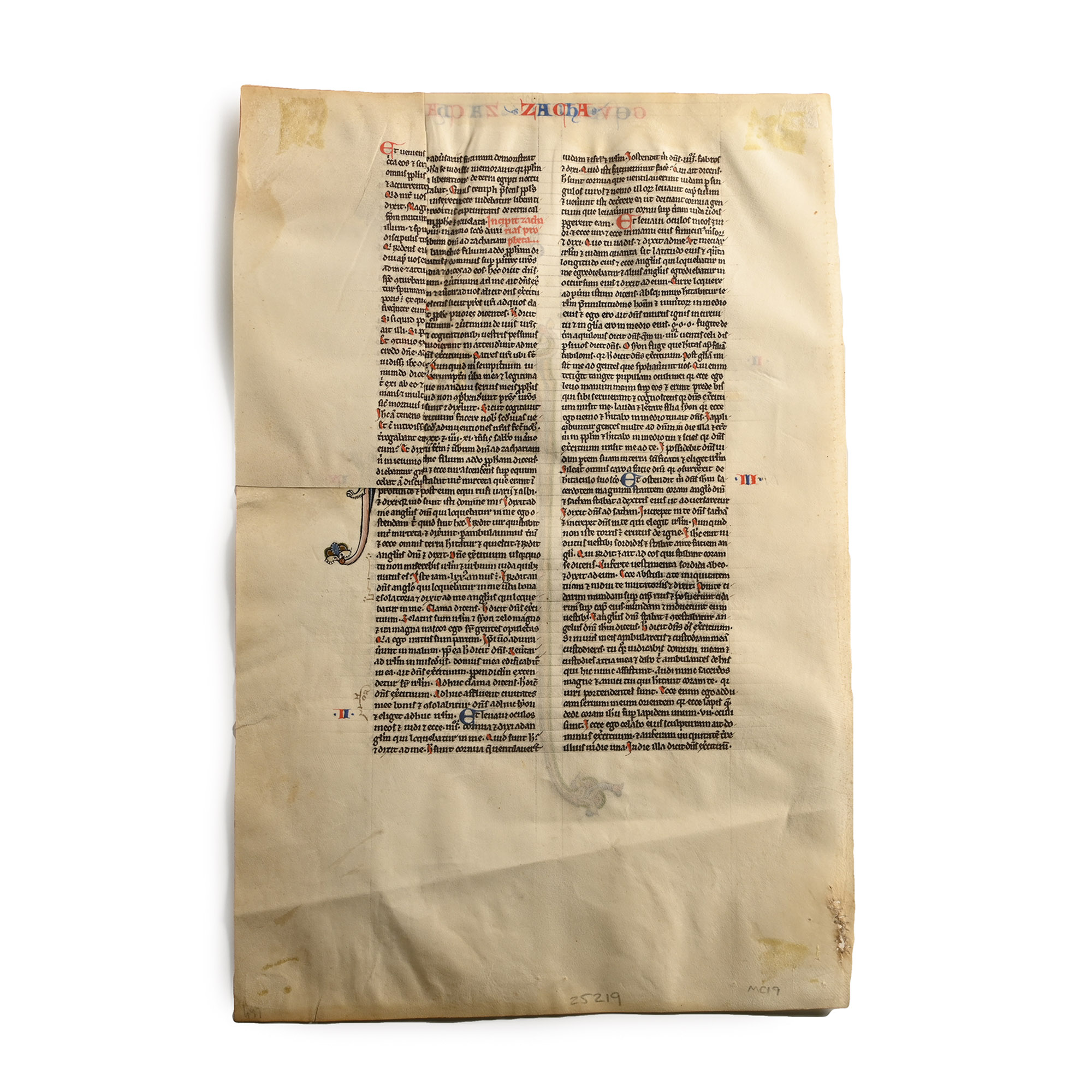 Medieval Book of Zechariah Manuscript Leaf from a Latin Bible