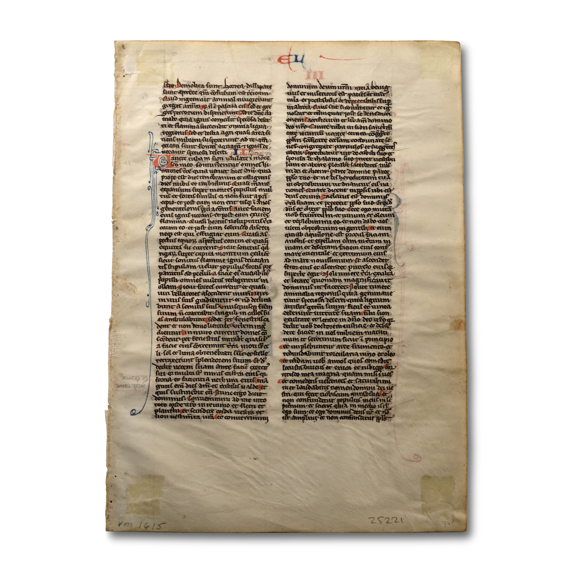 Medieval 'Book of Amos' Manuscript Leaf from a Latin Bible