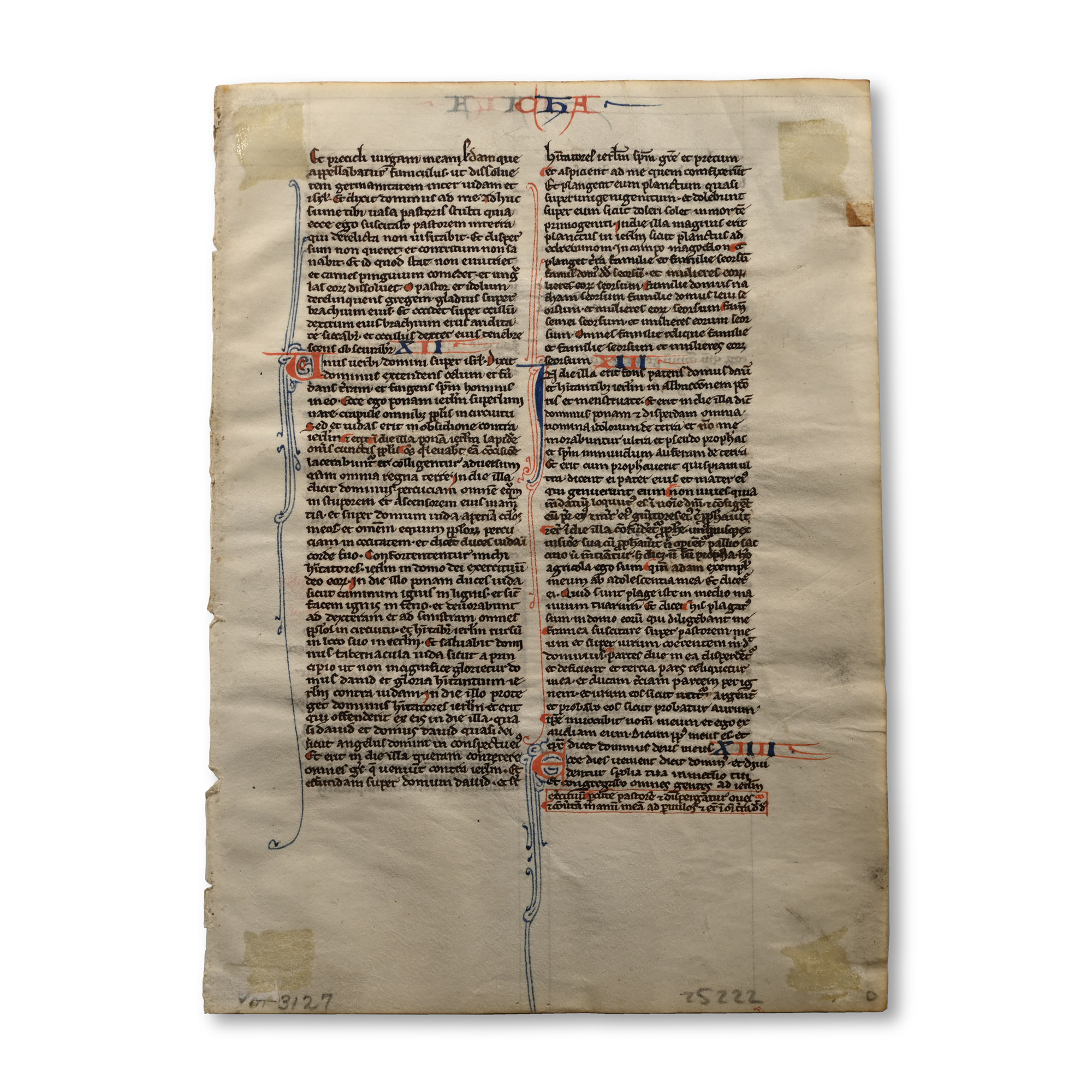 Medieval Book of Malachi Manuscript Page from a Latin Bible