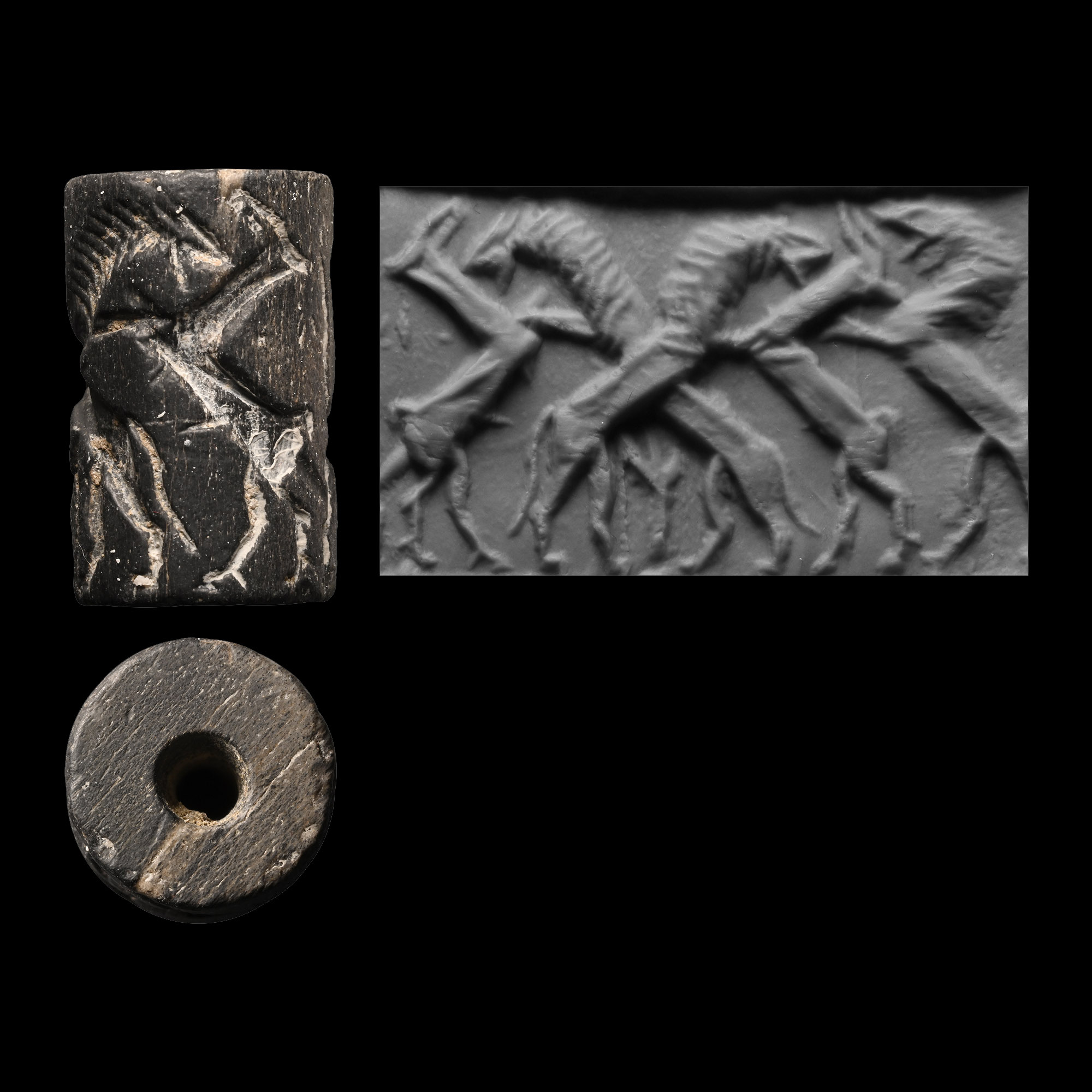 Akkadian Cylinder Seal with Contest Scene