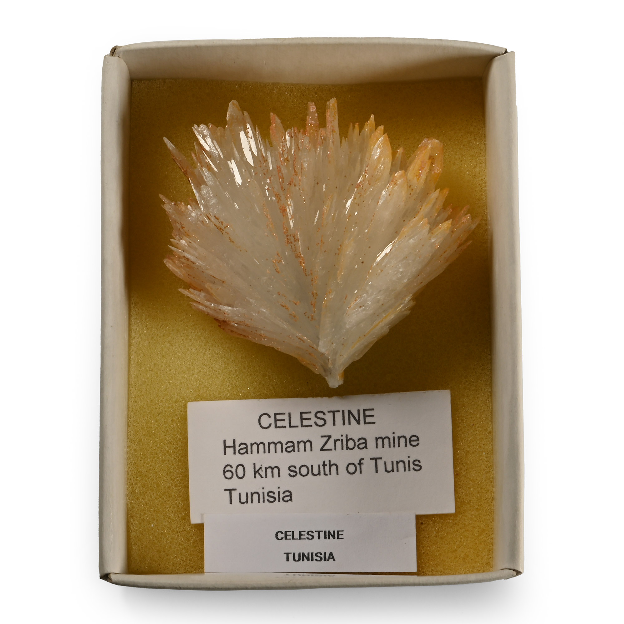 Celestine Sulphate Mineral Display Specimen