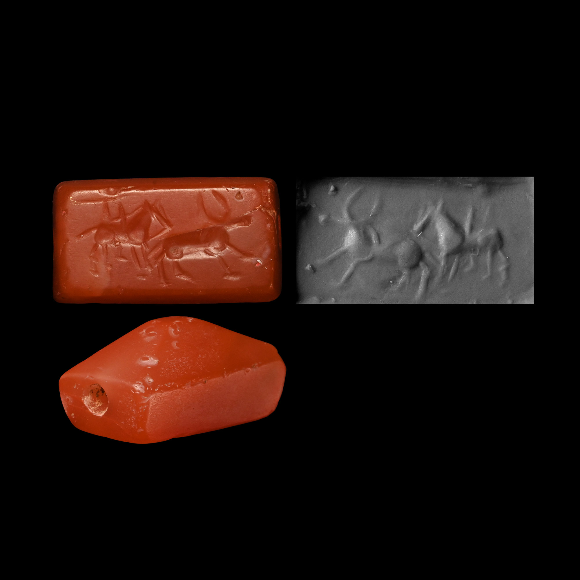 Syrian Prismatic Carnelian Scaraboid Seal with Bull