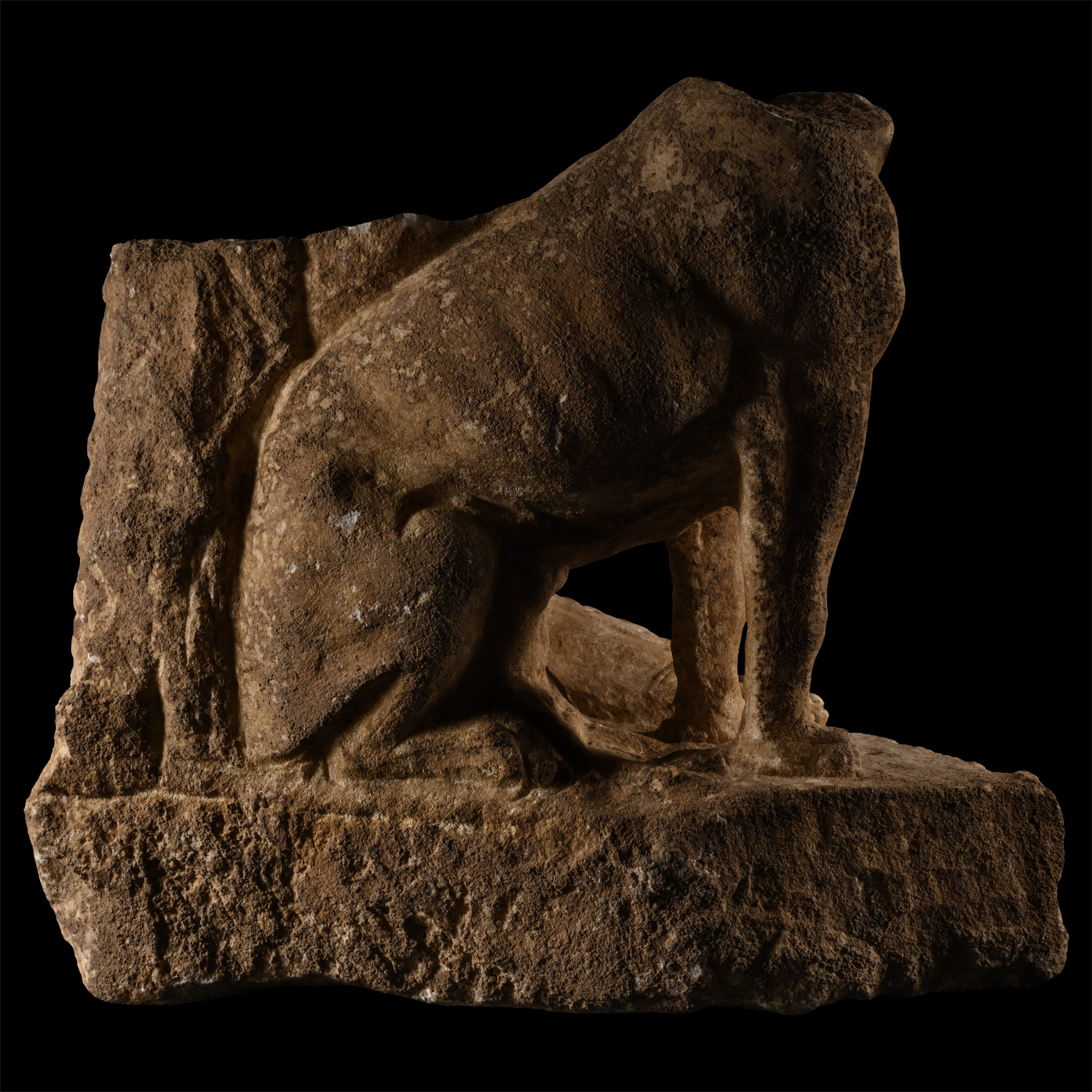 Roman Marble Statue Fragment with Dog