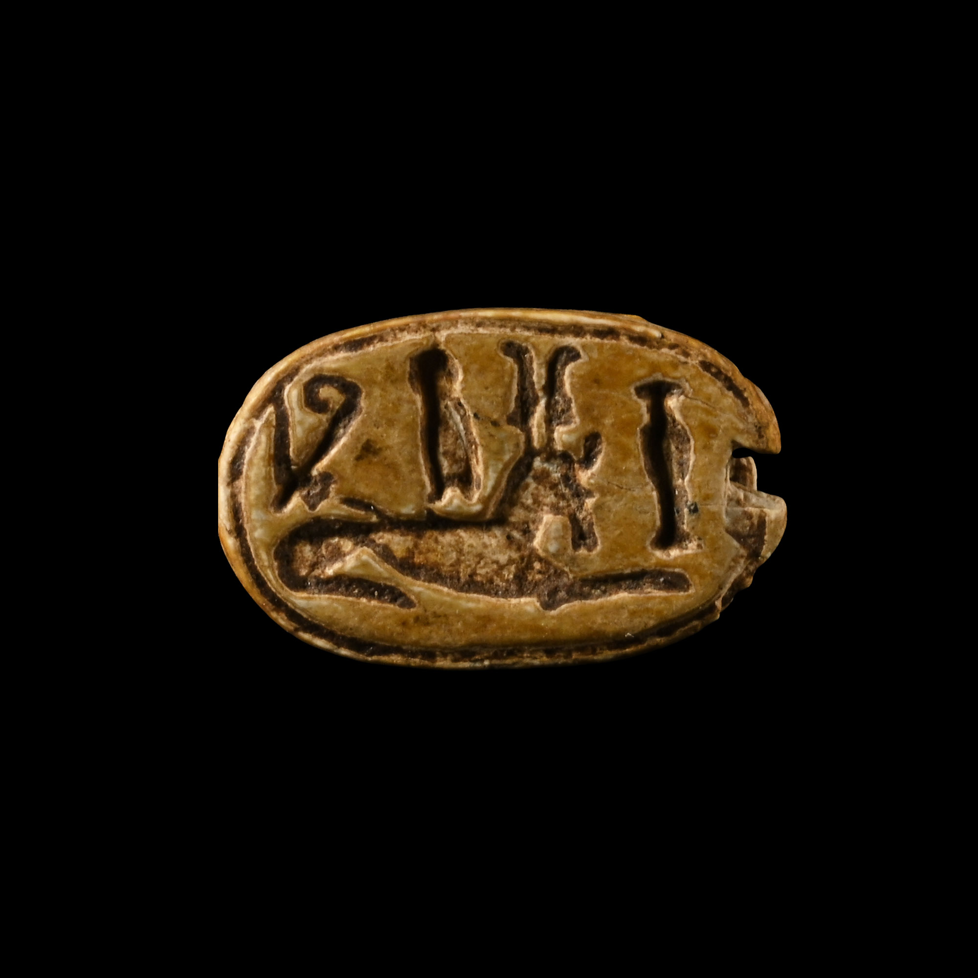 Egyptian Steatite Scarab