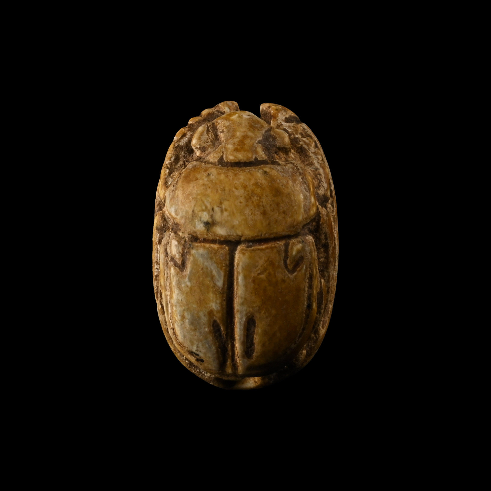 Egyptian Steatite Scarab