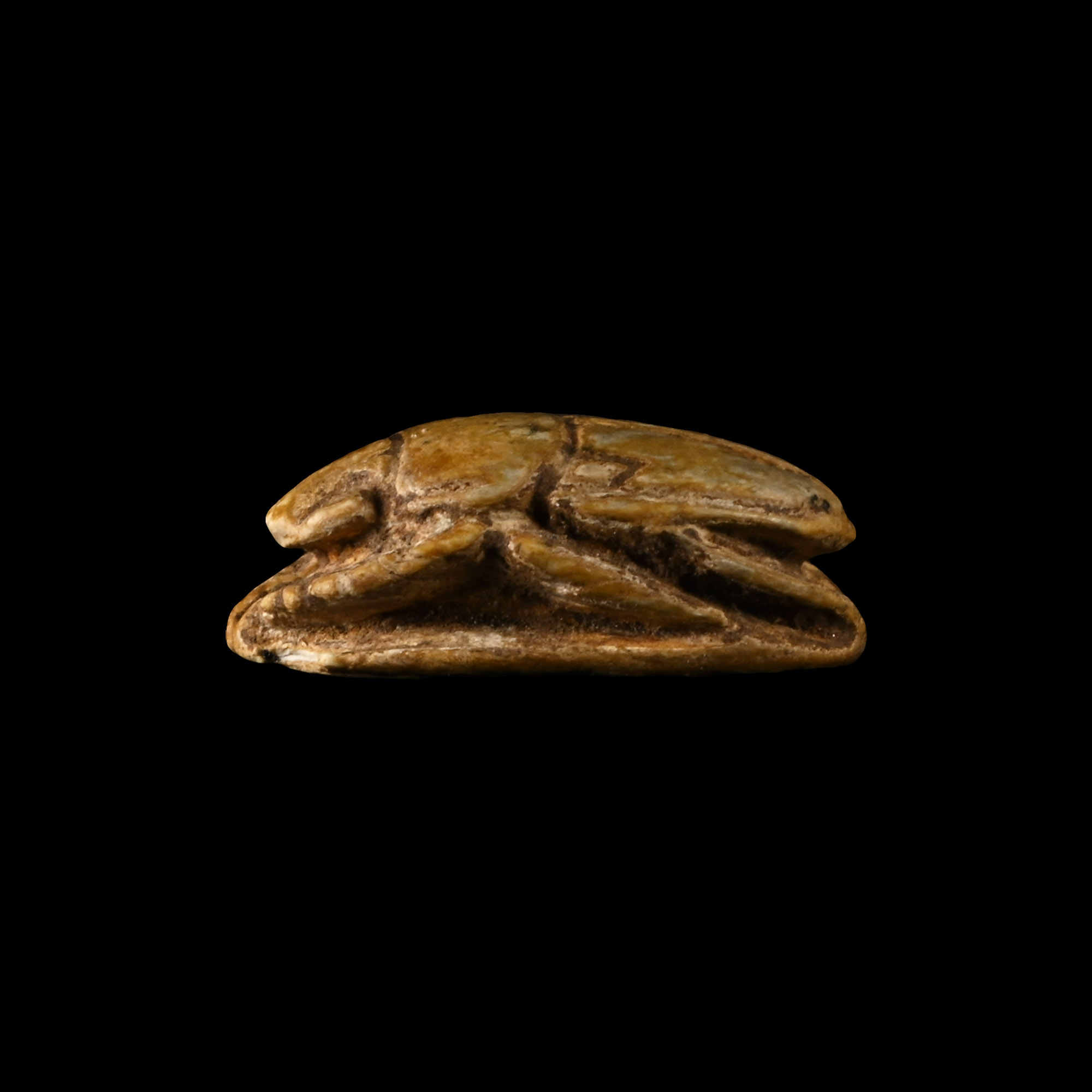Egyptian Steatite Scarab