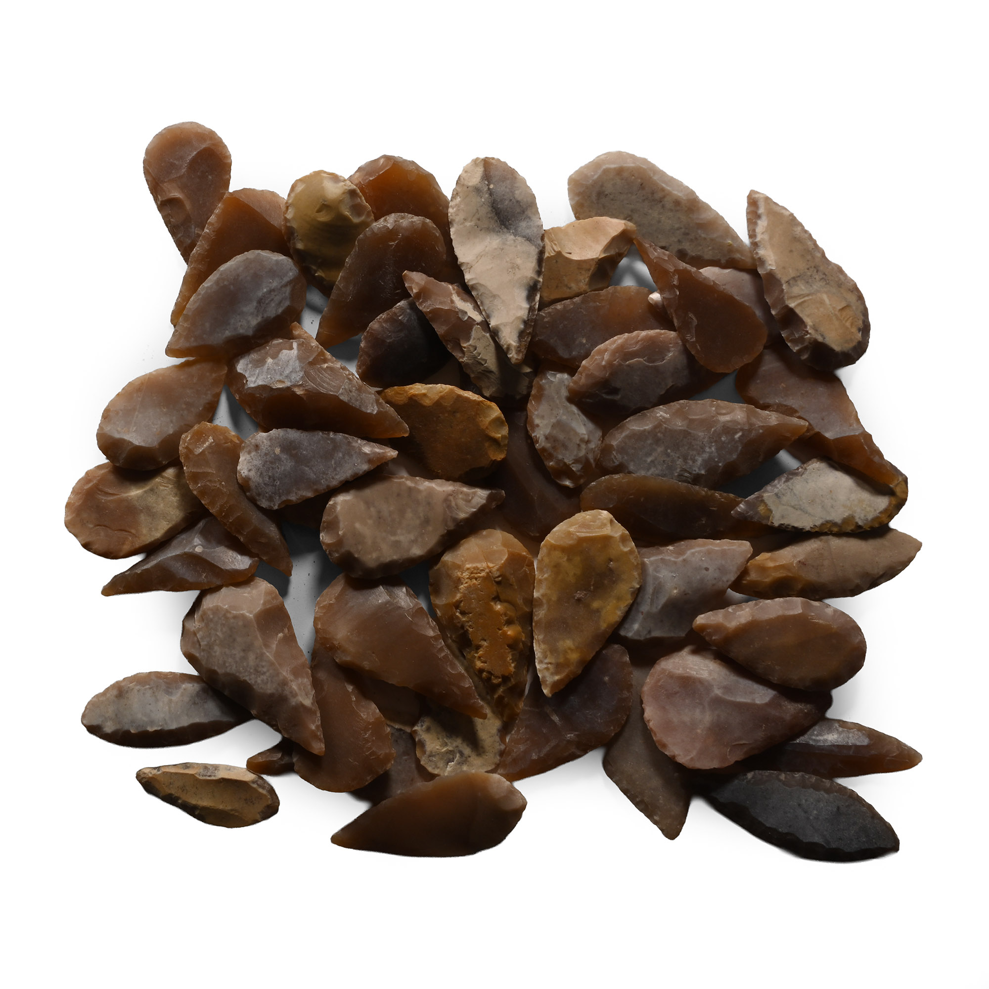 Stone Age Leaf-Shaped Arrowhead Collection