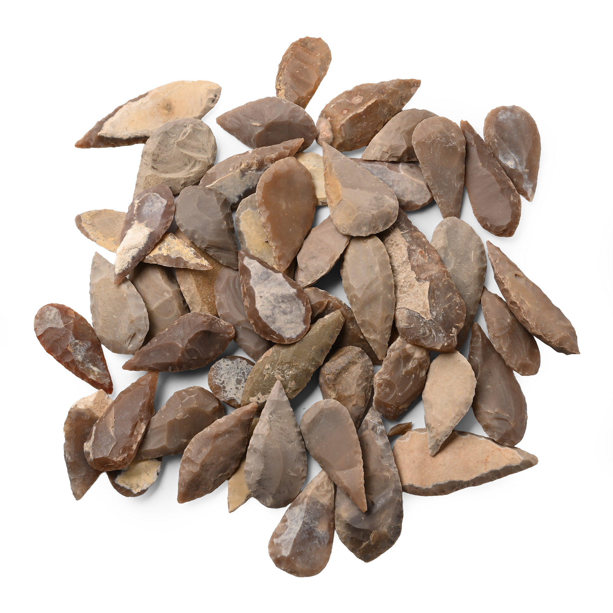 Large Stone Age Leaf-Shaped Arrowhead Collection