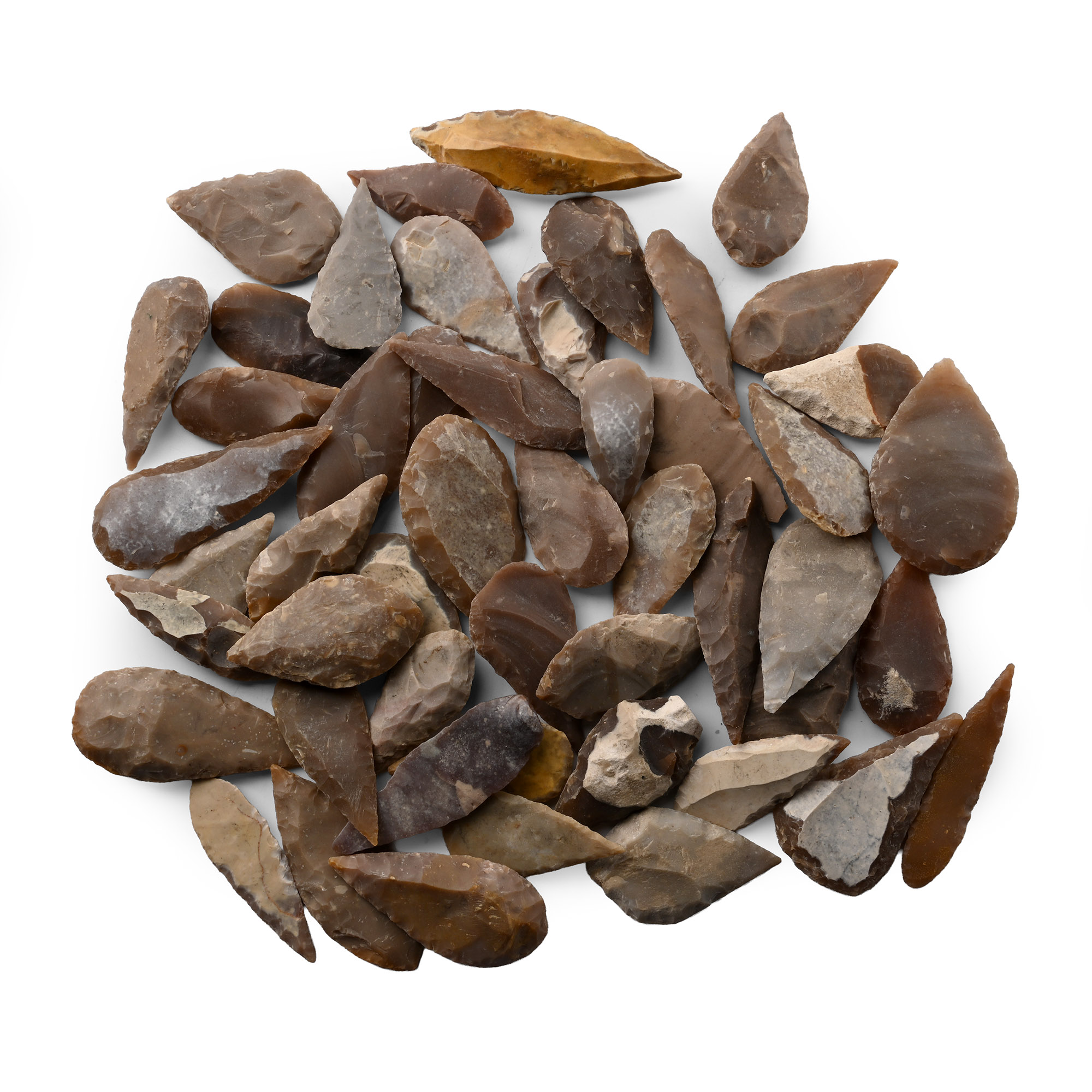 Large Stone Age Leaf-Shaped Arrowhead Collection