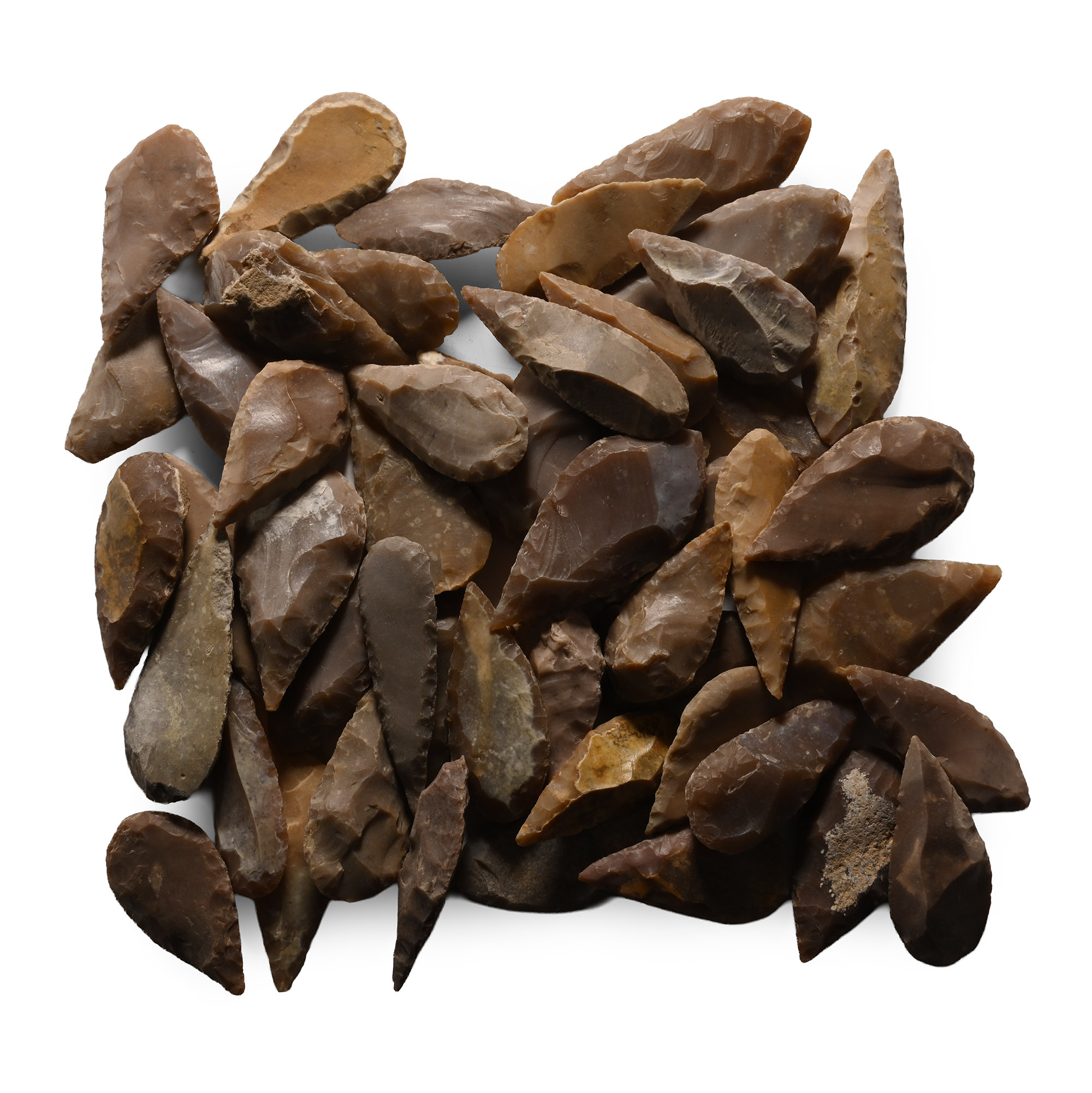 Large Stone Age Leaf-Shaped Arrowhead Collection
