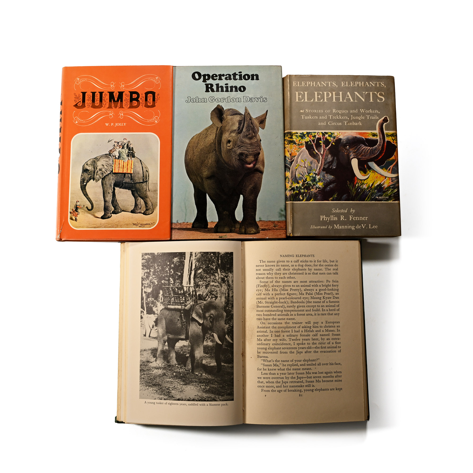 Books on Elephants and Rhinoceros - 4 Titles