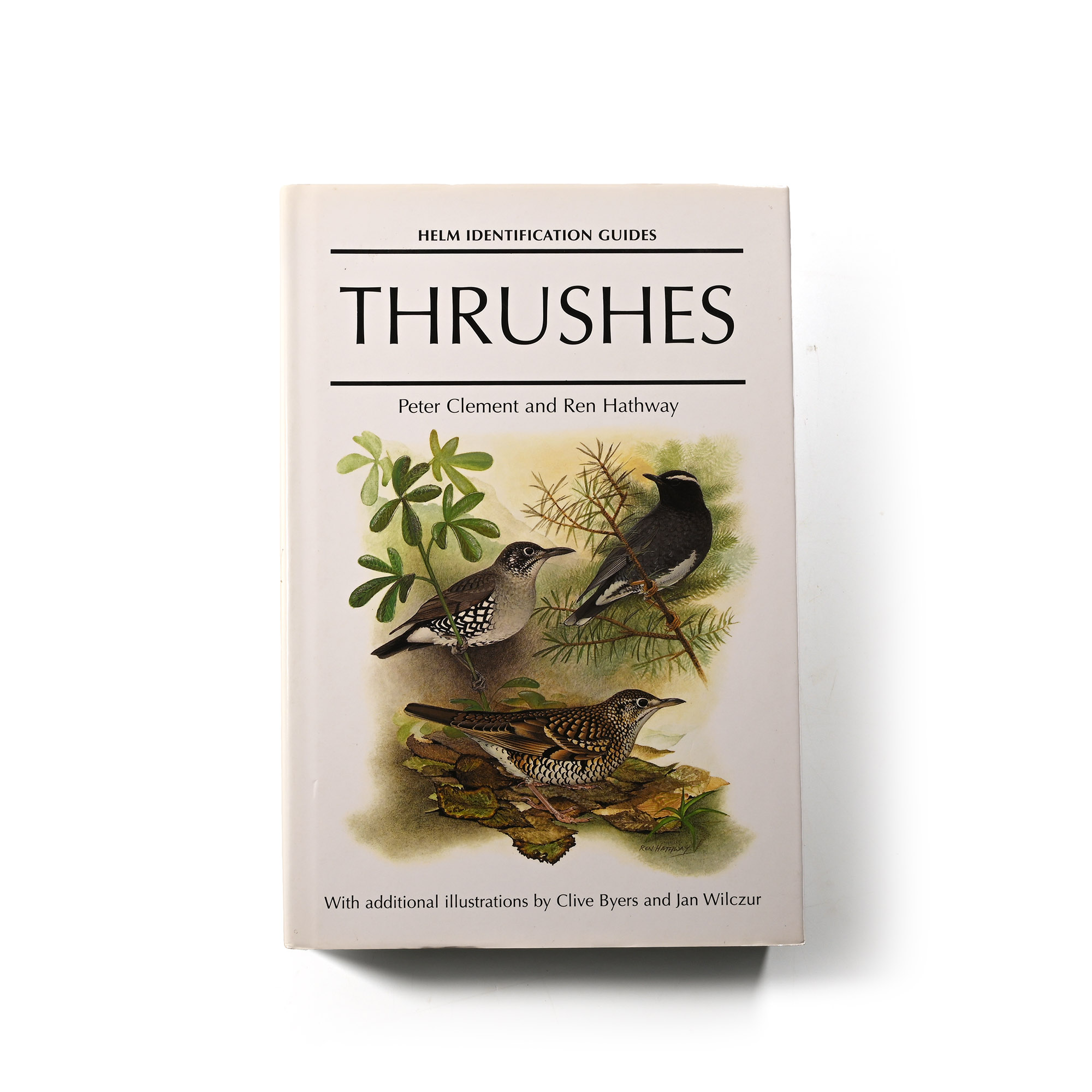 Helm Bird Identification Guide: Thrushes