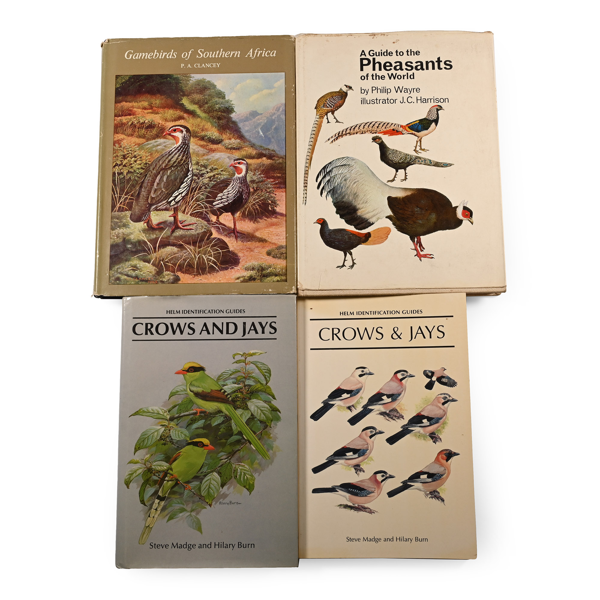 Bird Books on Crows, Jays, Pheasants and Gamebirds - 4 Titles