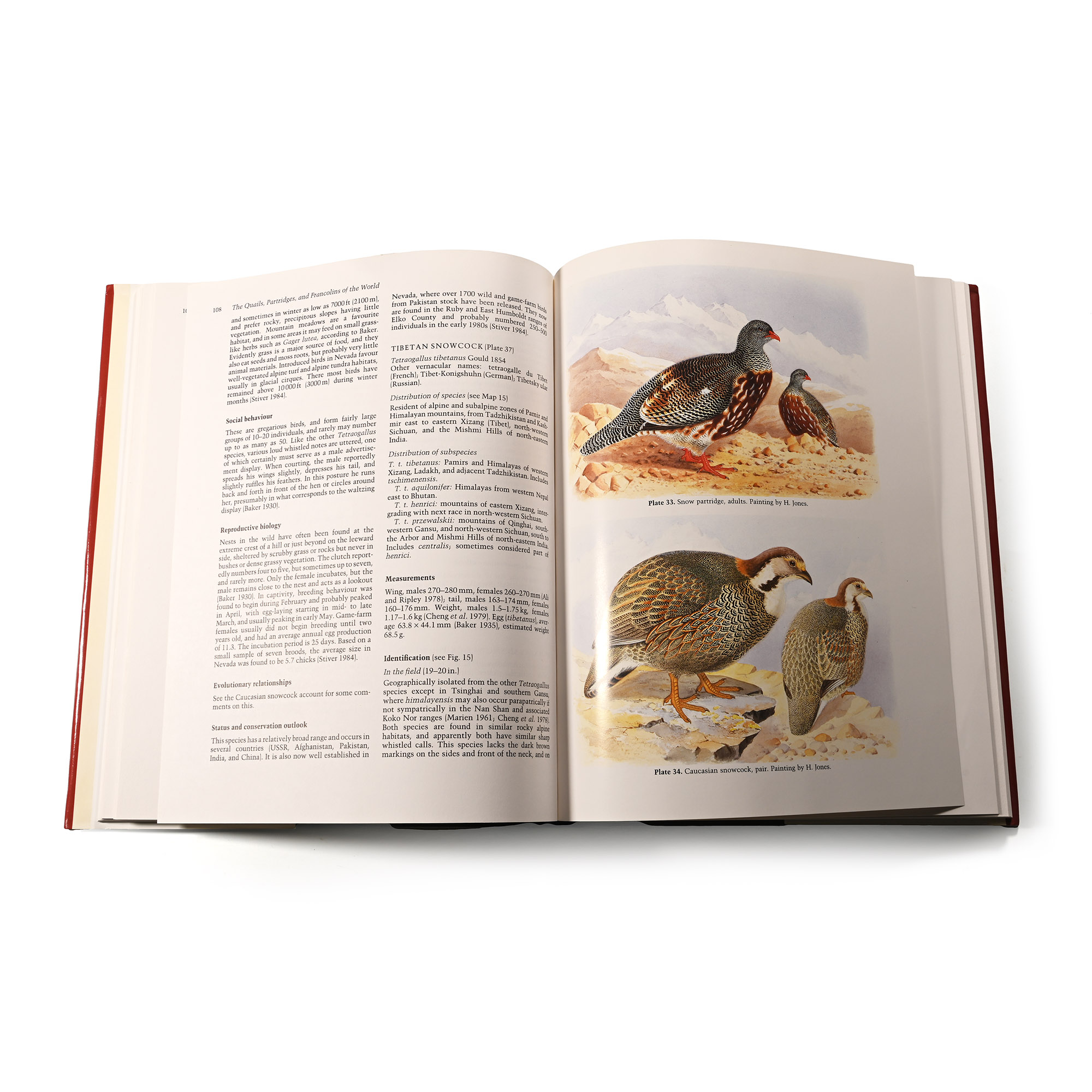 The Quails, Partridges, and Francolins of the World