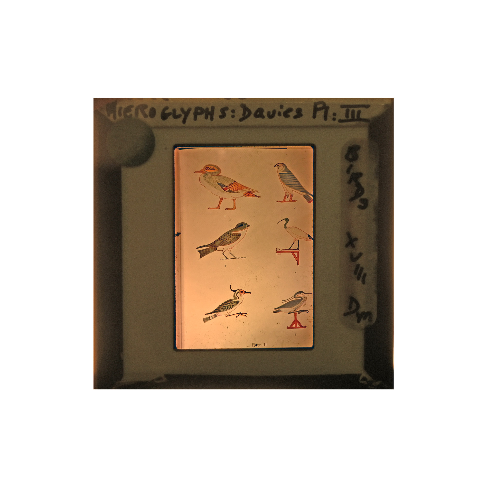 Historic Collection of 601 Slides of Archaeological Objects From Egypt