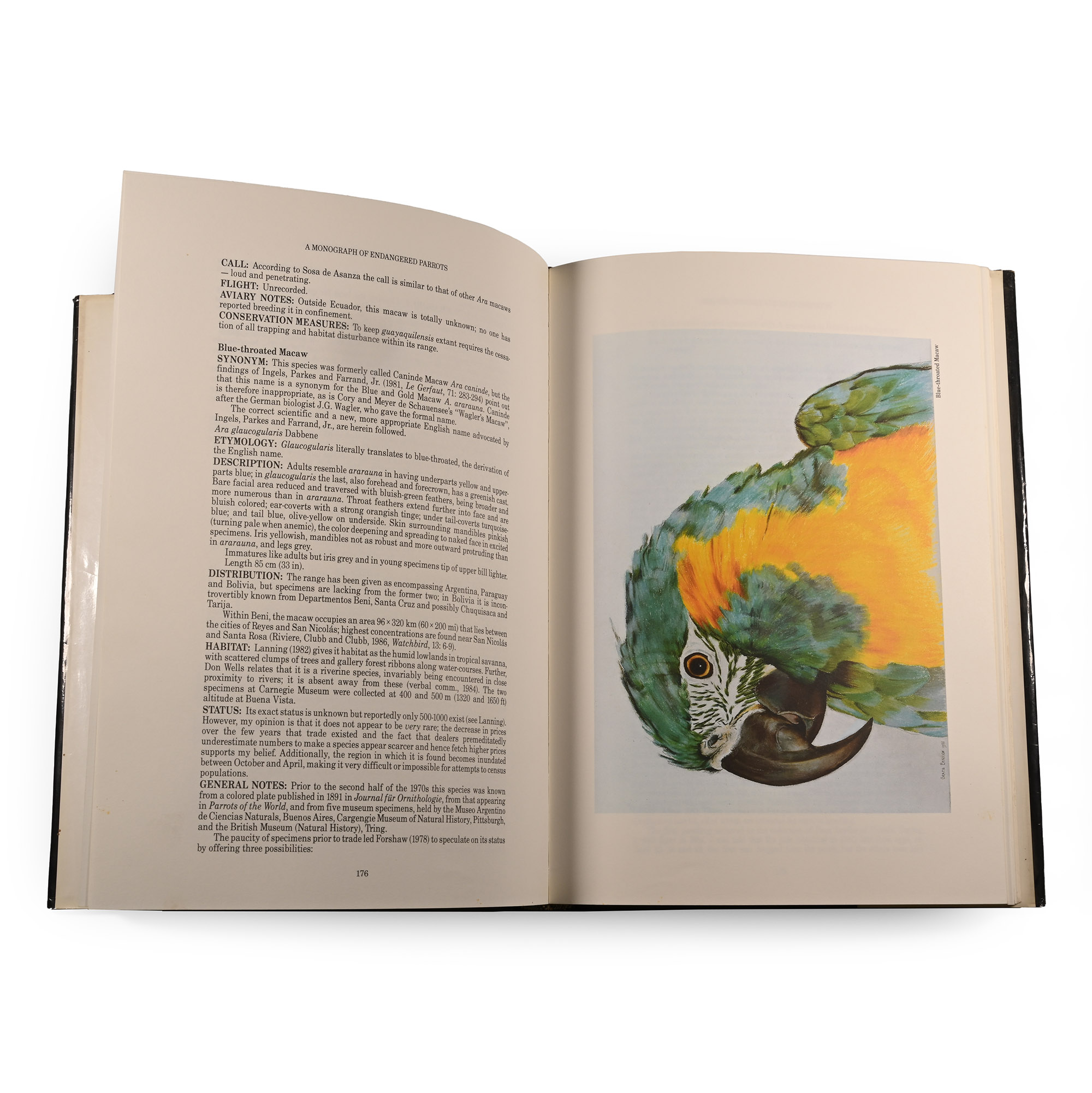 A Monograph of Endangered Parrots