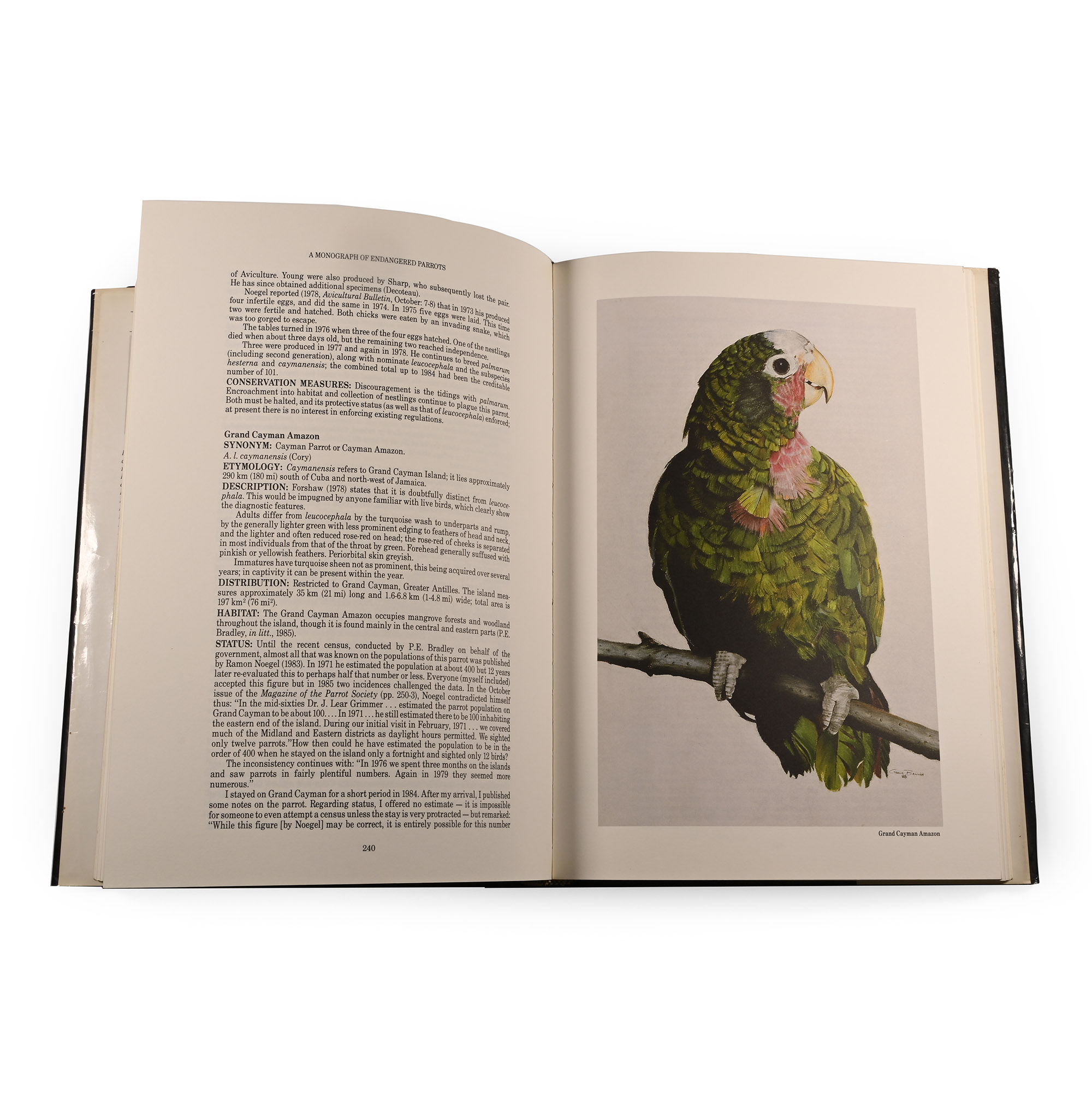 A Monograph of Endangered Parrots