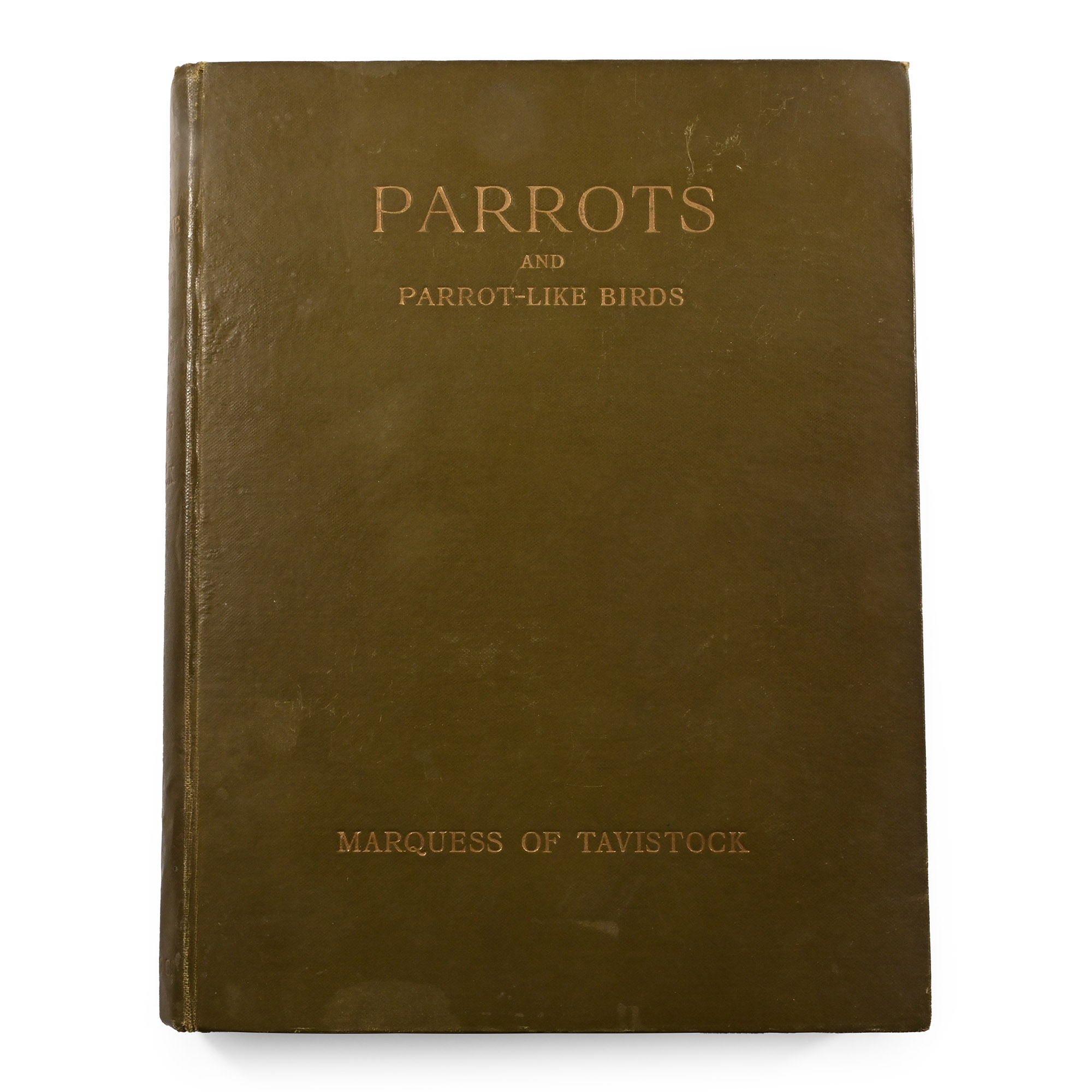 Parrots and Parrot-Like Birds