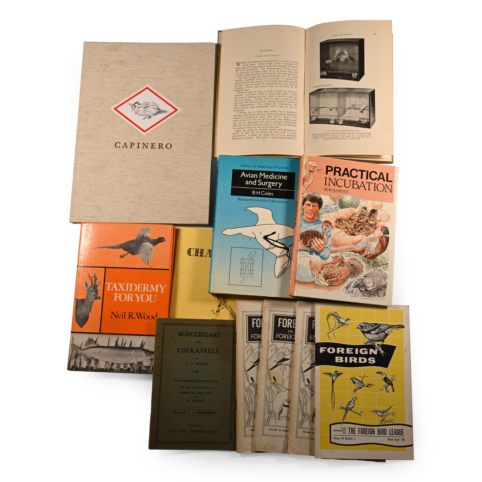 Books on Captive Bred Birds and Aviculture - 11 Titles