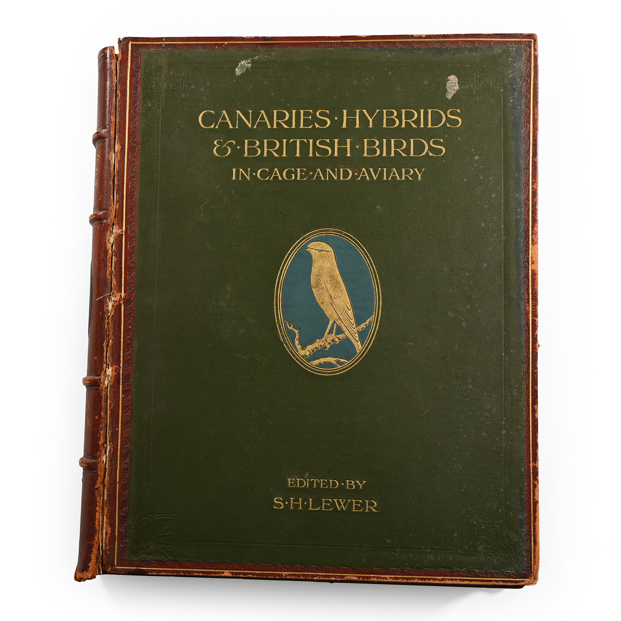 Canaries, Hybrids & British Birds in Cage and Aviary