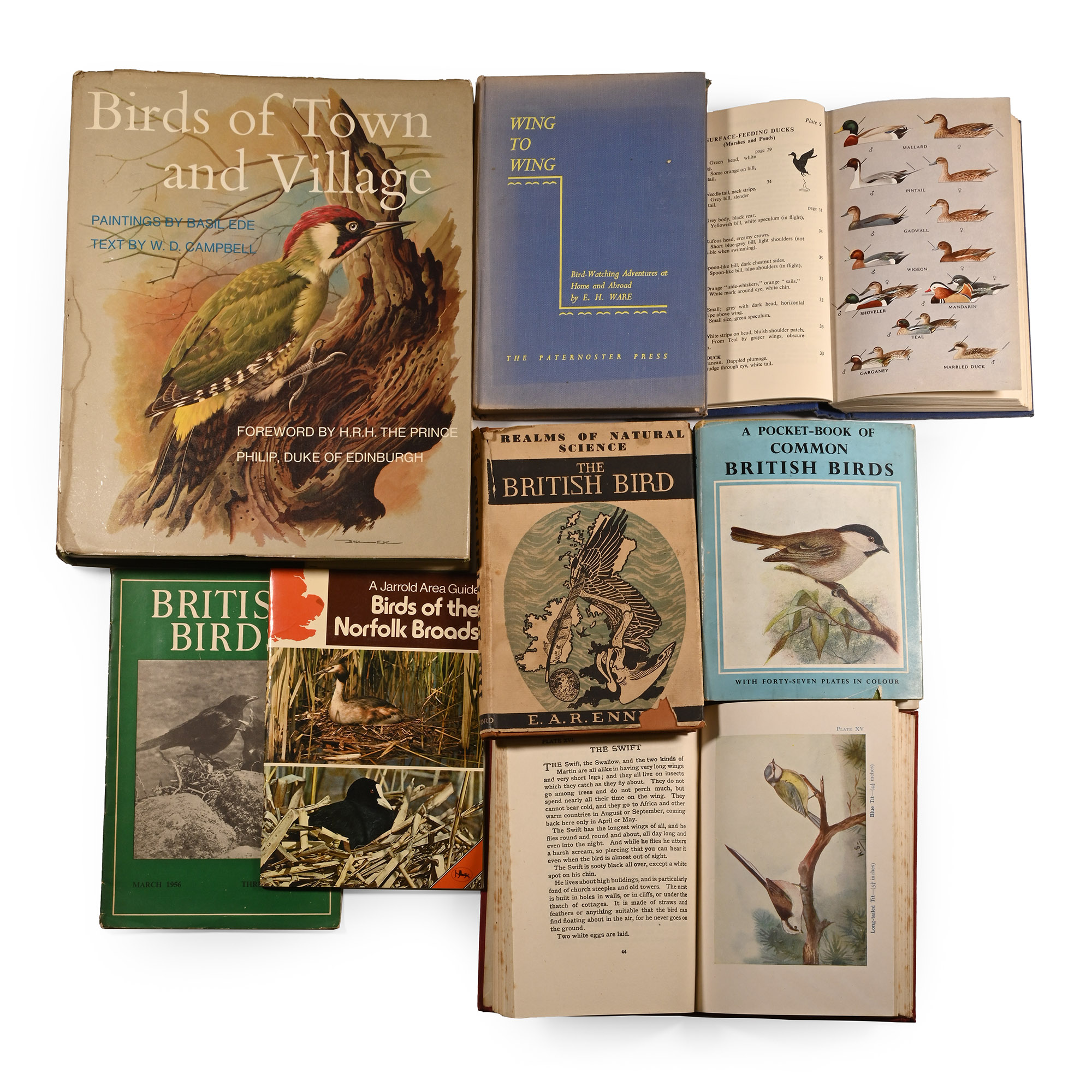 Books on Birds - 8 Titles