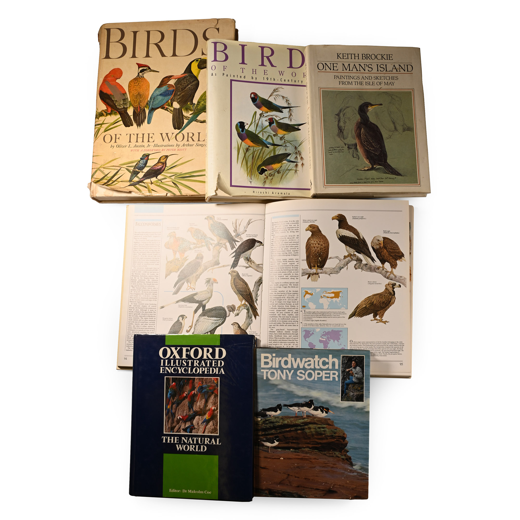 Books on Birds - 6 Titles