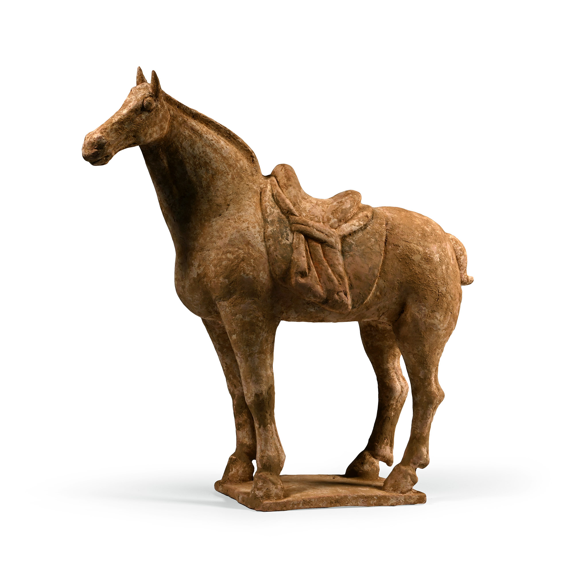 Chinese Tang Terracotta Horse